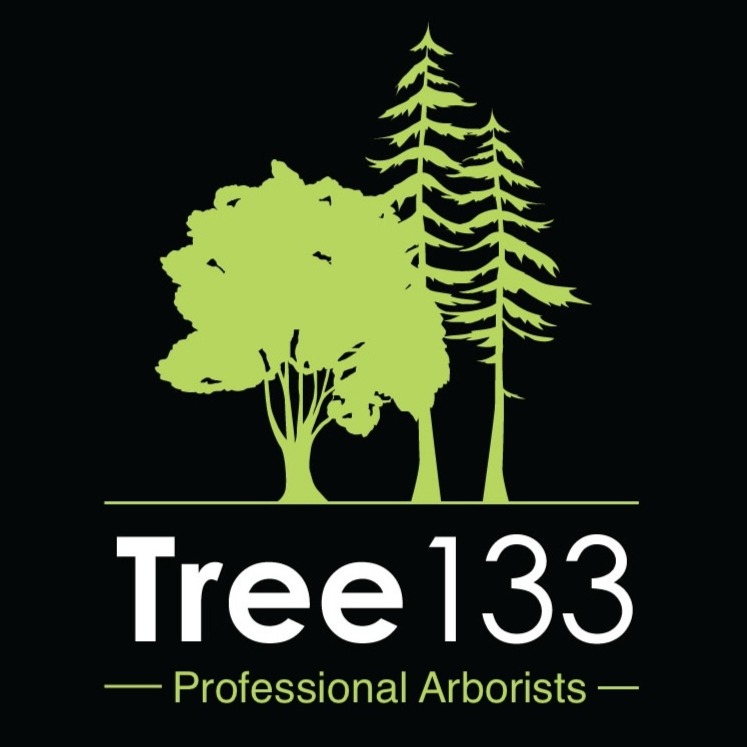 Tree133 Professional Arborists logo