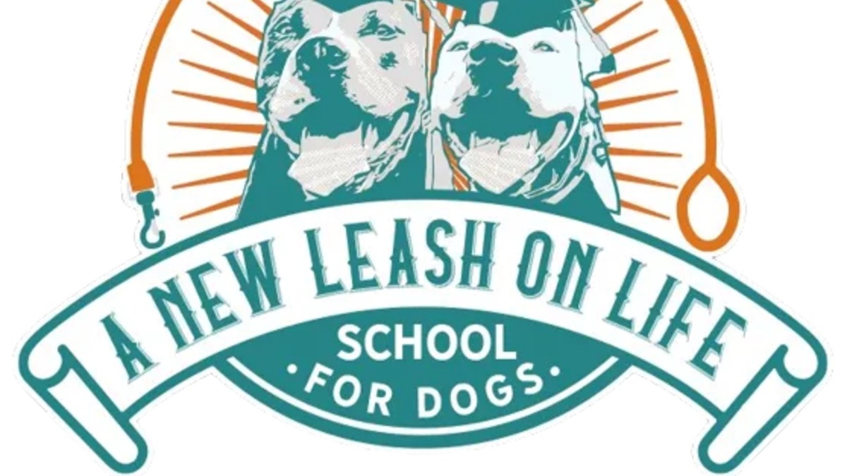 A New Leash on Life - School for Dogs