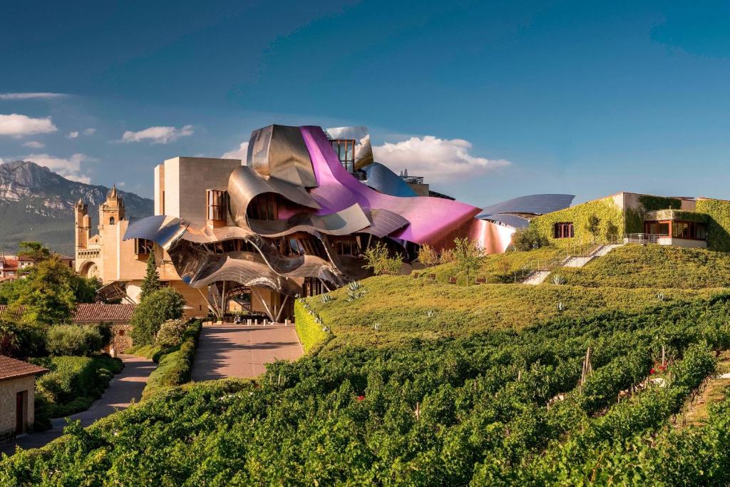 Wine Lovers! Discover The Best Underrated Spanish Wines cover photo collage