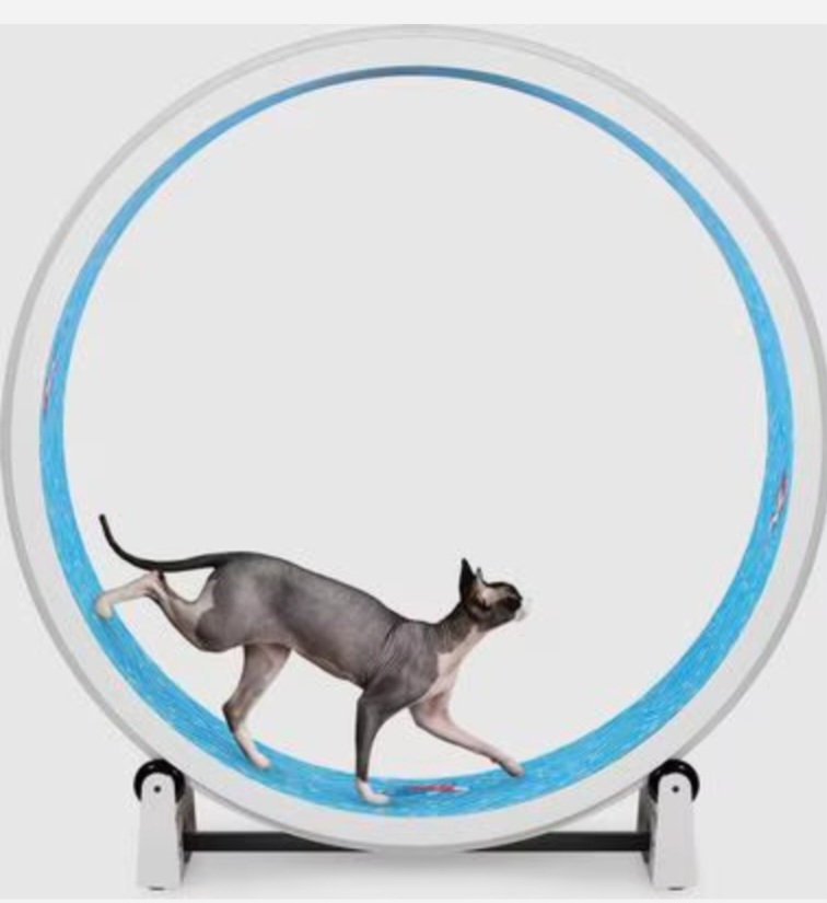 Large Cat Exercise Wheels for Sphynx Cats With Noise Reduction cover photo collage