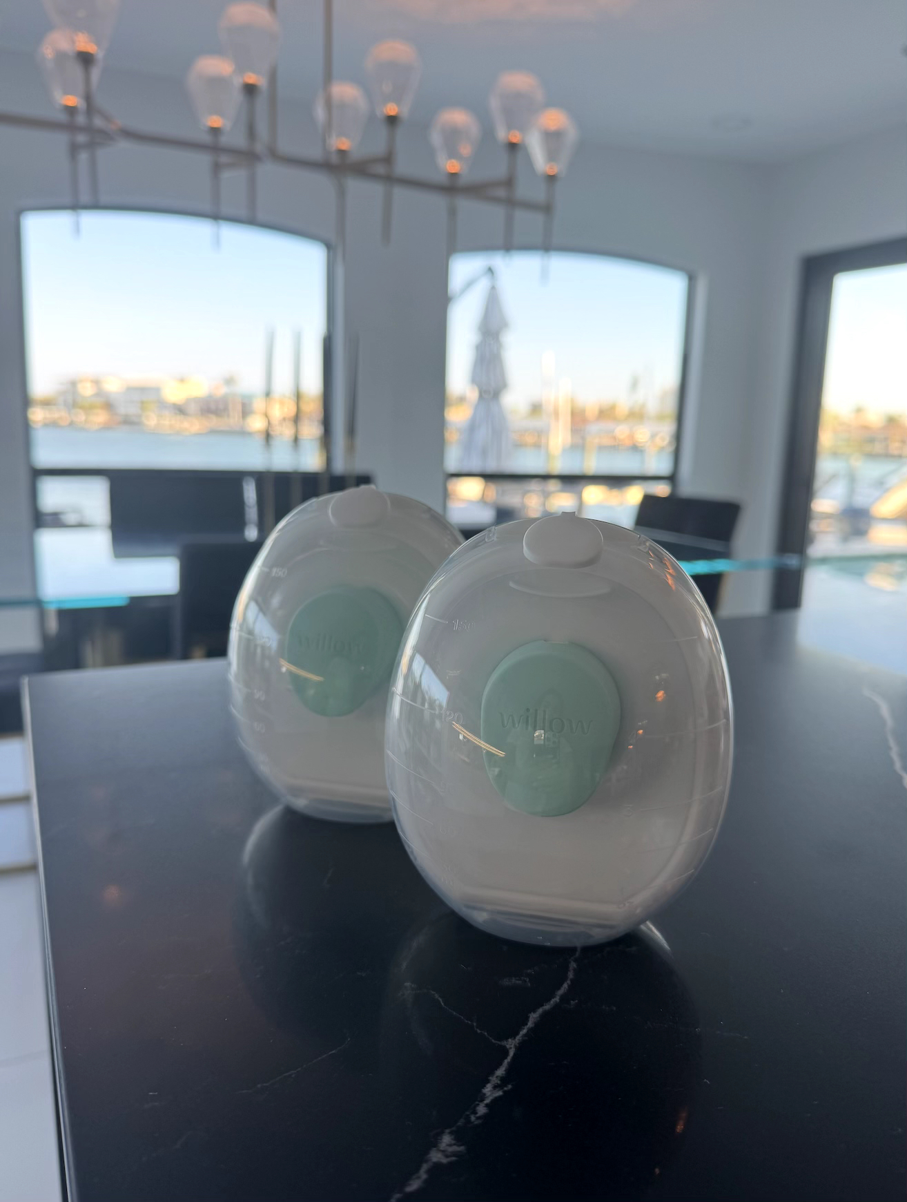 Newborn Essentials: The First 30 Days cover photo collage