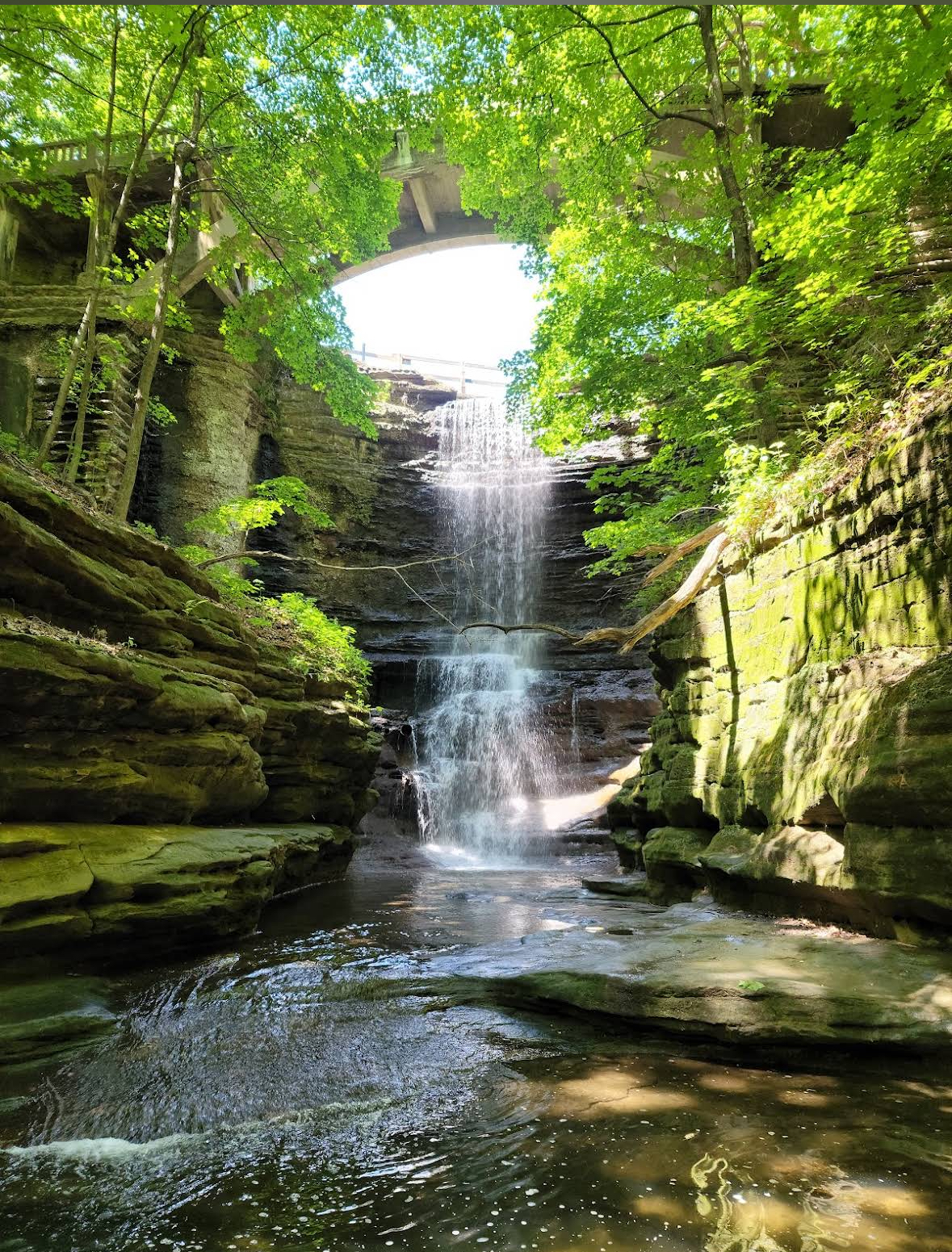 Welcome to the Illinois Valley cover photo collage