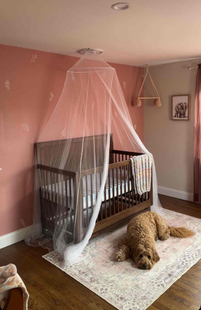 Just every day stuff for our little creatures ♥️ cover photo collage