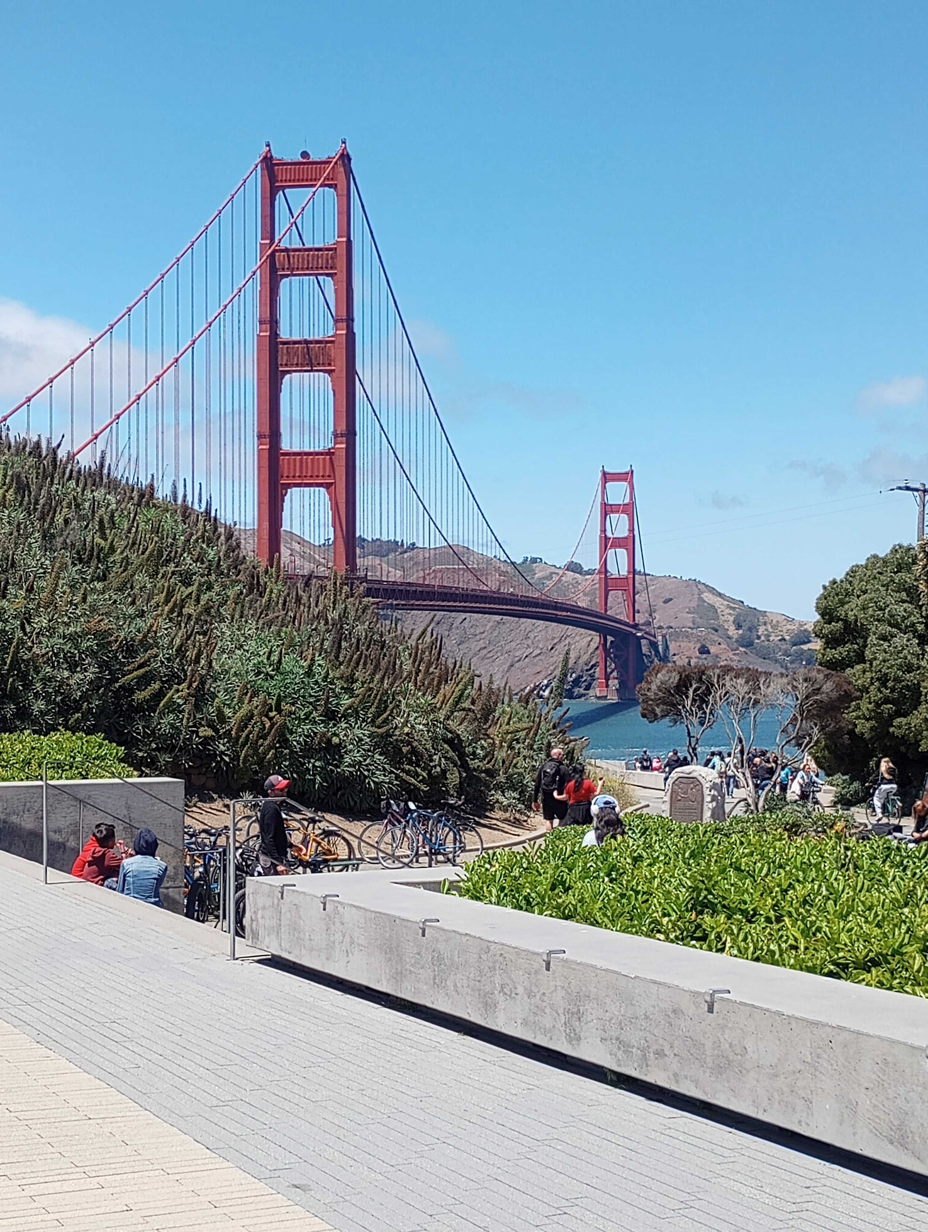 Travel California with fun road trip recs cover photo collage