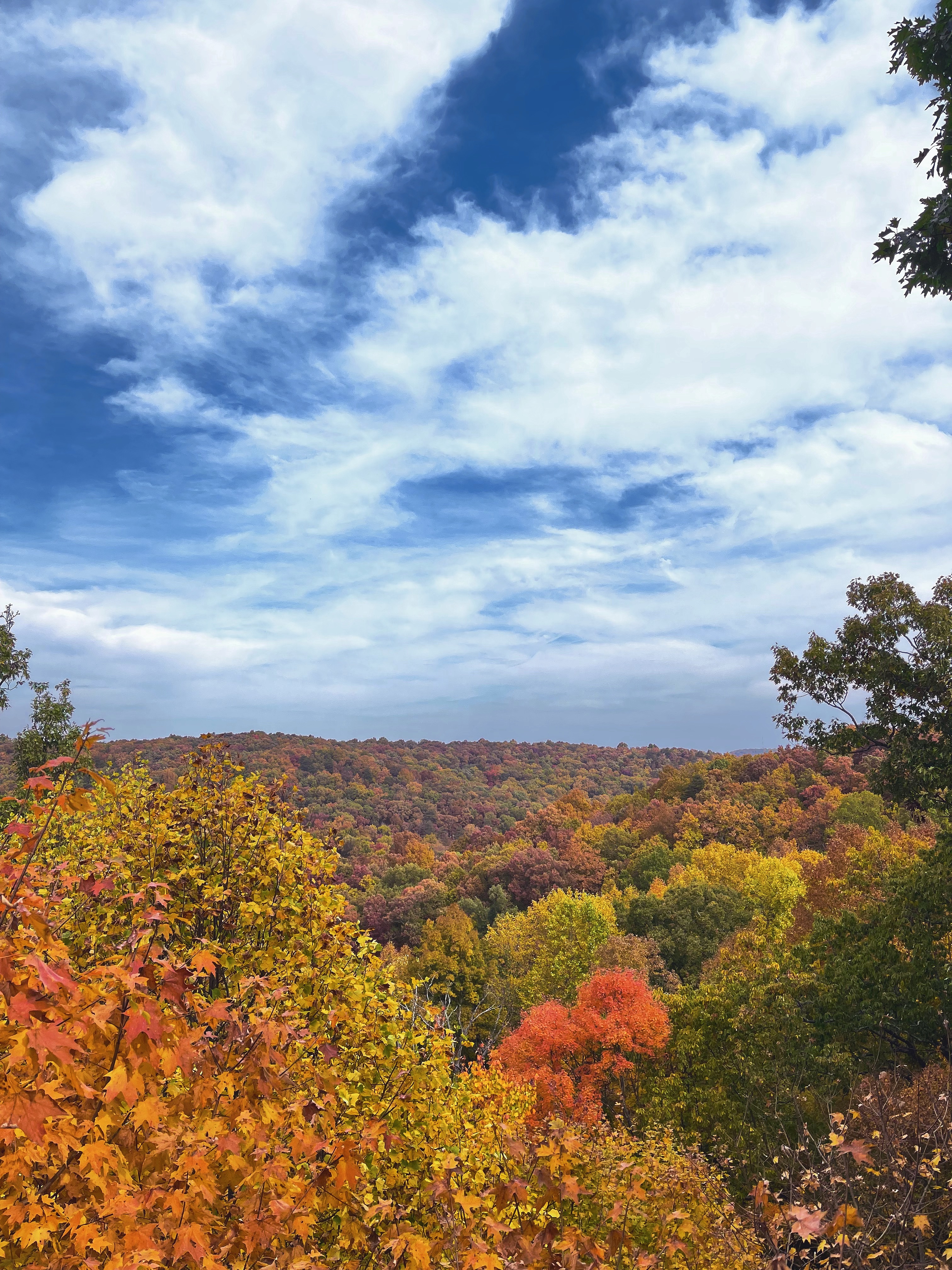Fall fun in and around Louisville, KY 🍂🧡 cover photo collage