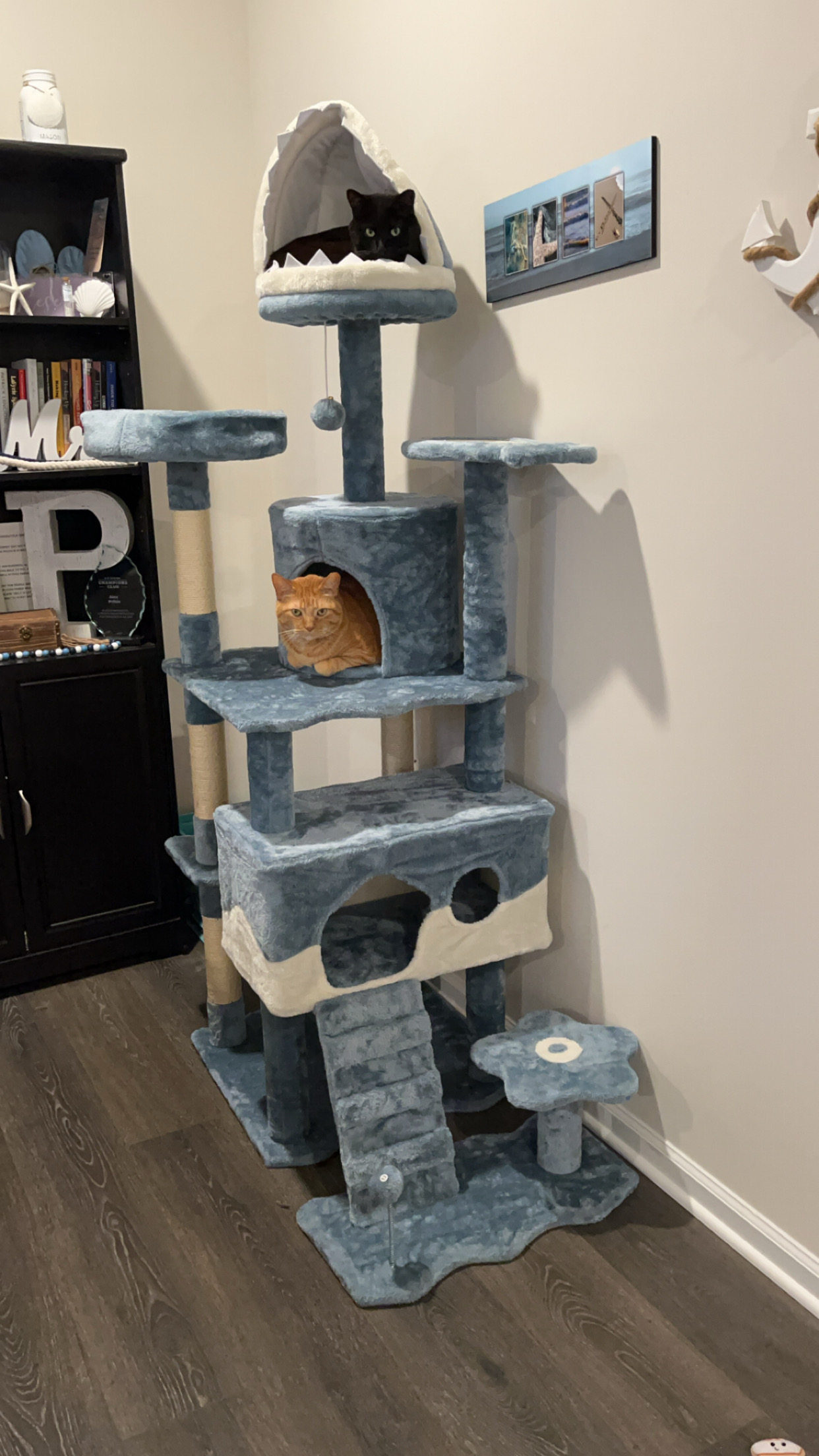 Barnes & Noble’s top Chewy picks cover photo collage