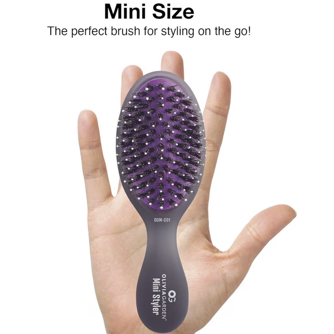 Travel Companions cover photo collage