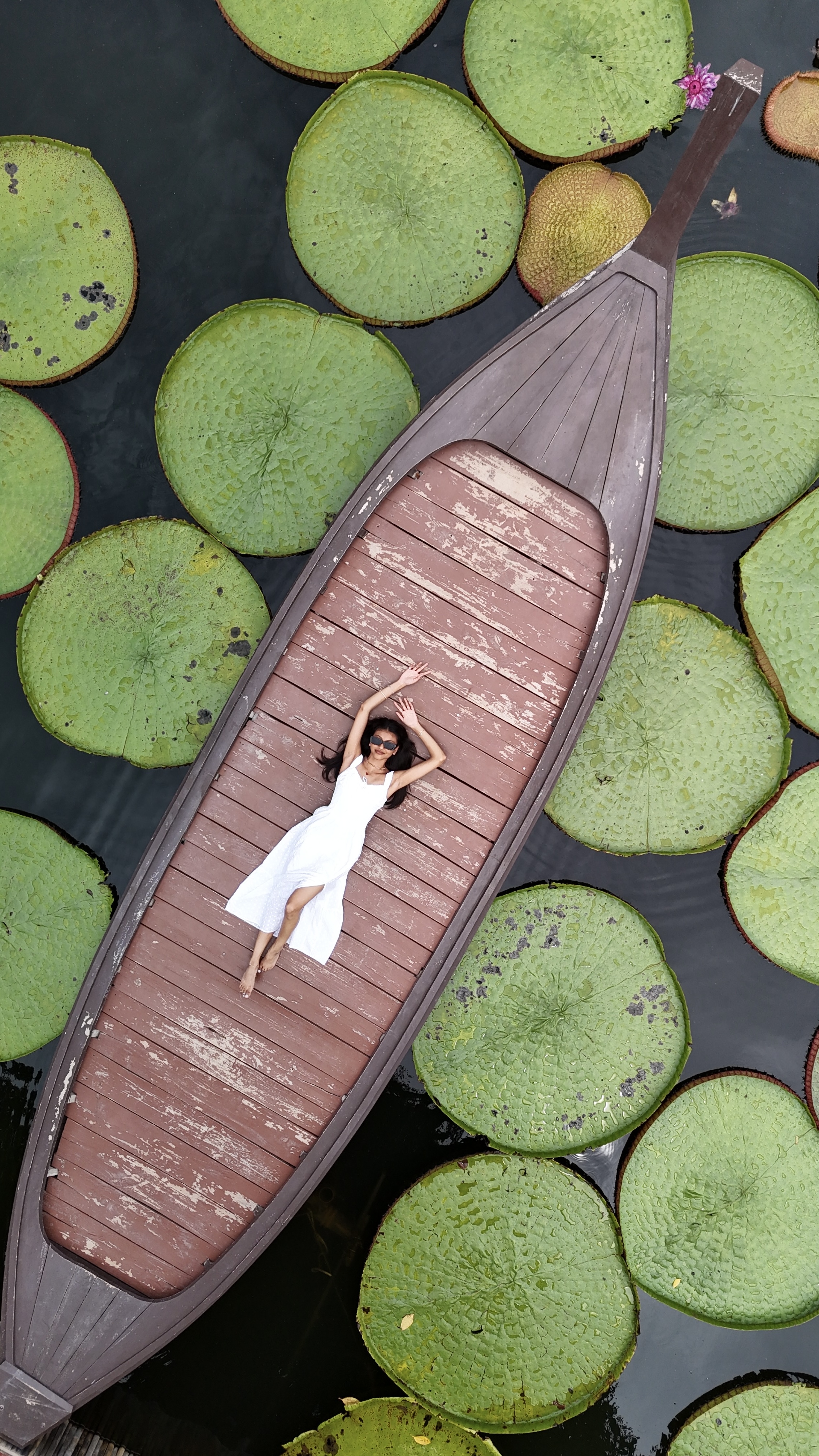 my trip to thailand 🇹🇭🐘 cover photo collage