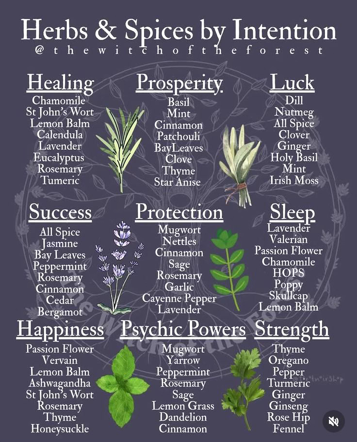 Closet Witch Starter Kit cover photo collage