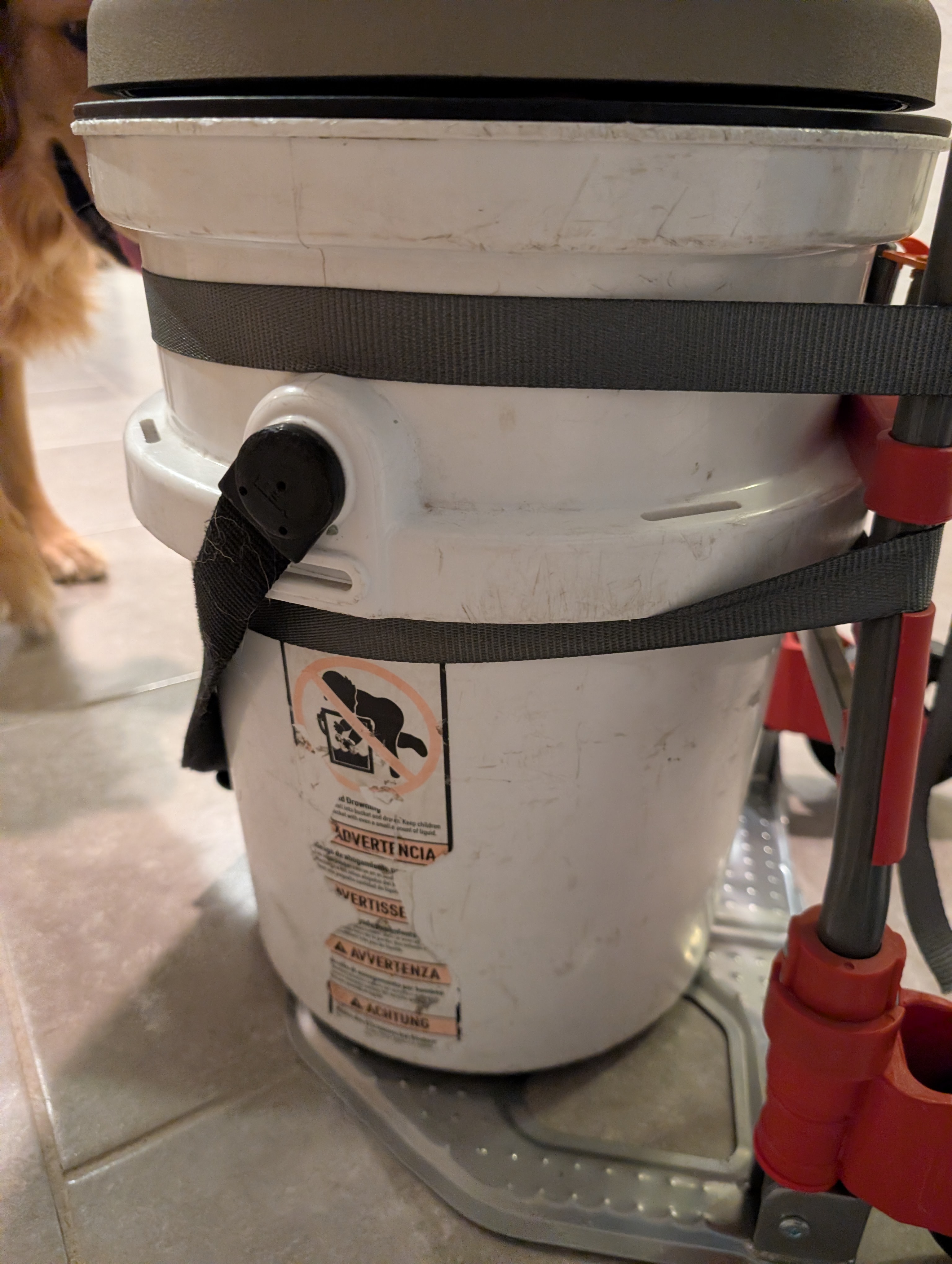 yeti bucket tool bag Loadout 5-Gallon Bucket, Impact Resistant Fishing/Utility Bucket, Charcoal : Sports & Outdoors on the boat or in the garage YETI LoadOut Bucket Utility Gear