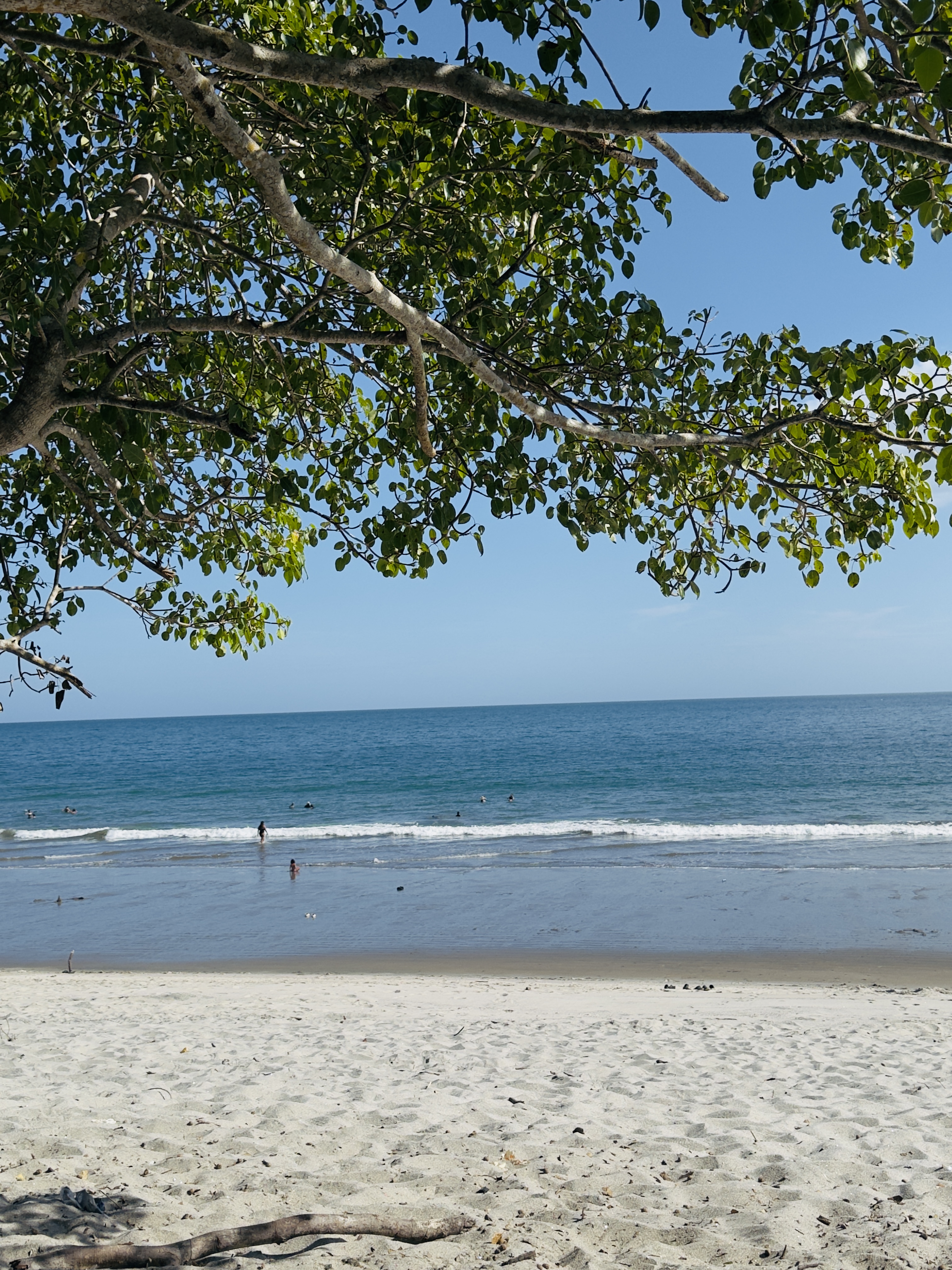 My Favorite Places to Visit in Panama 🇵🇦 … cover photo collage