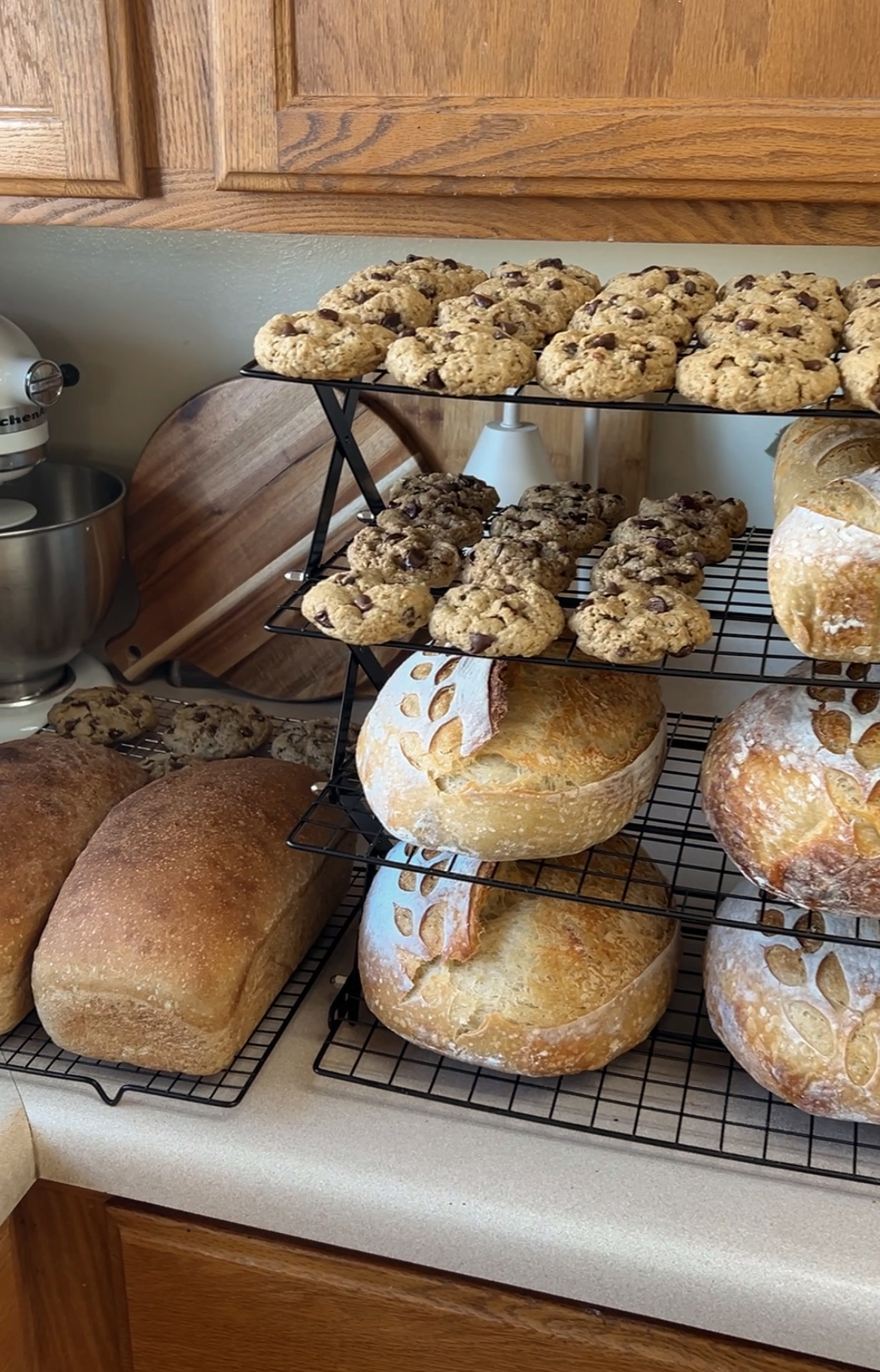 Items I use daily in my Microbakery cover photo collage