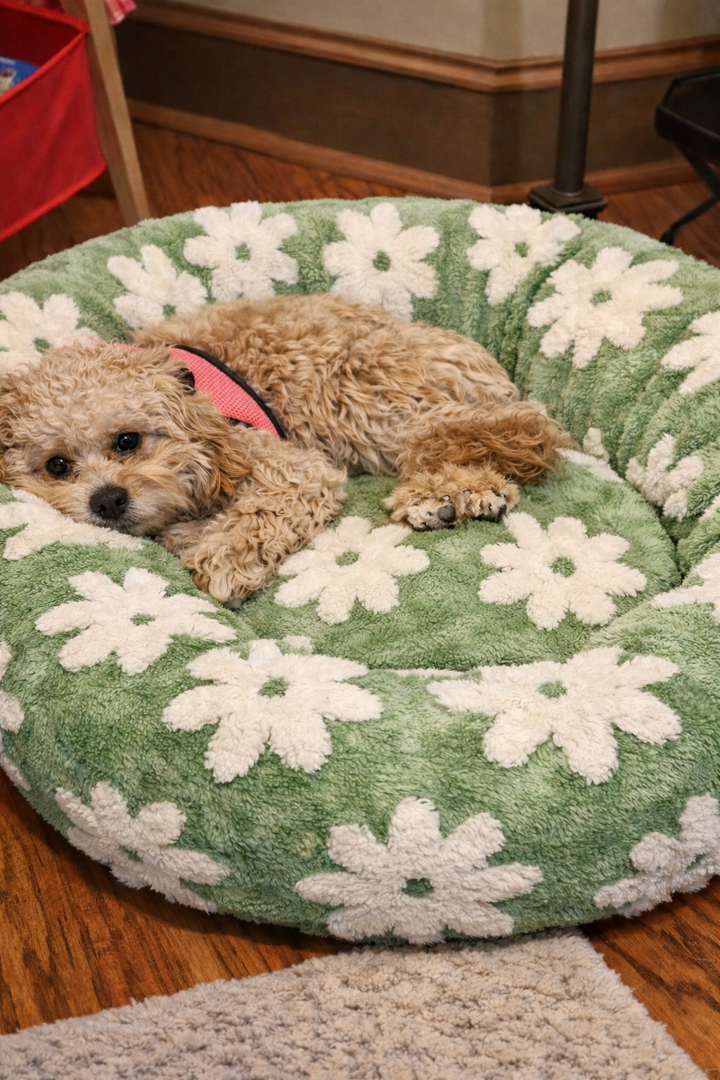 Everyday Puppy Essentials for Work-From-Home Dog Parents cover photo collage