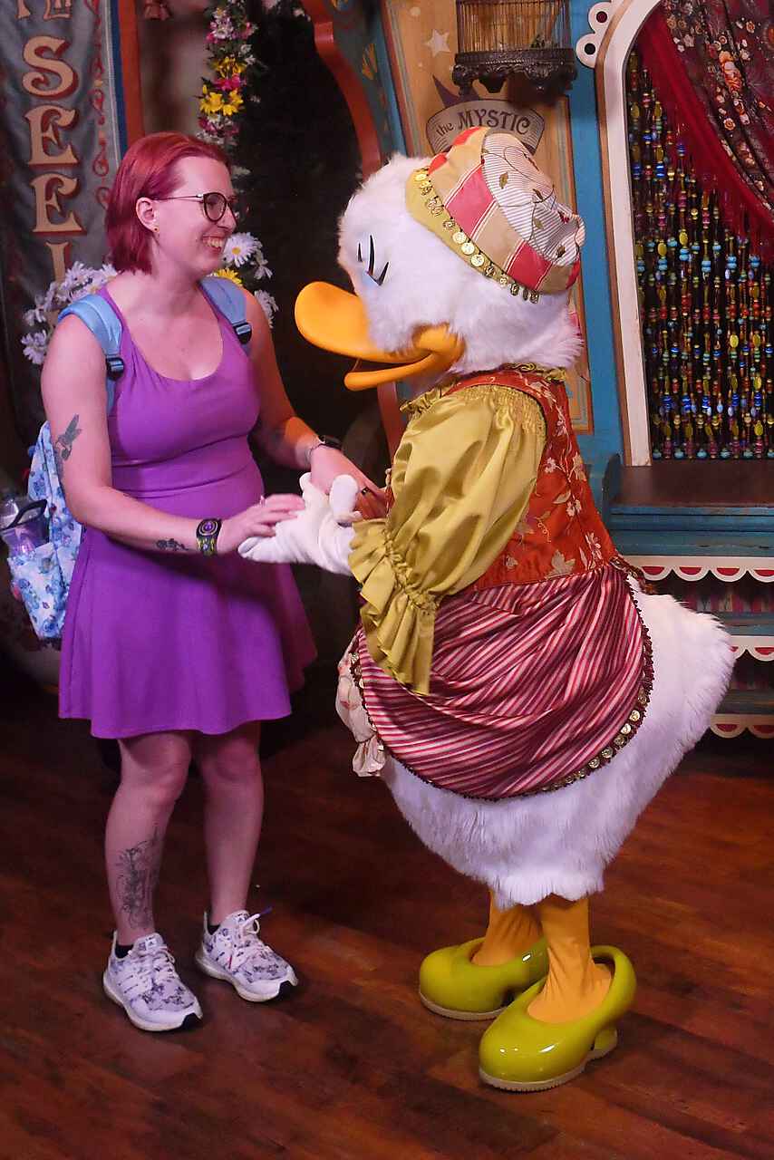 Perfect Disney Park Days cover photo collage