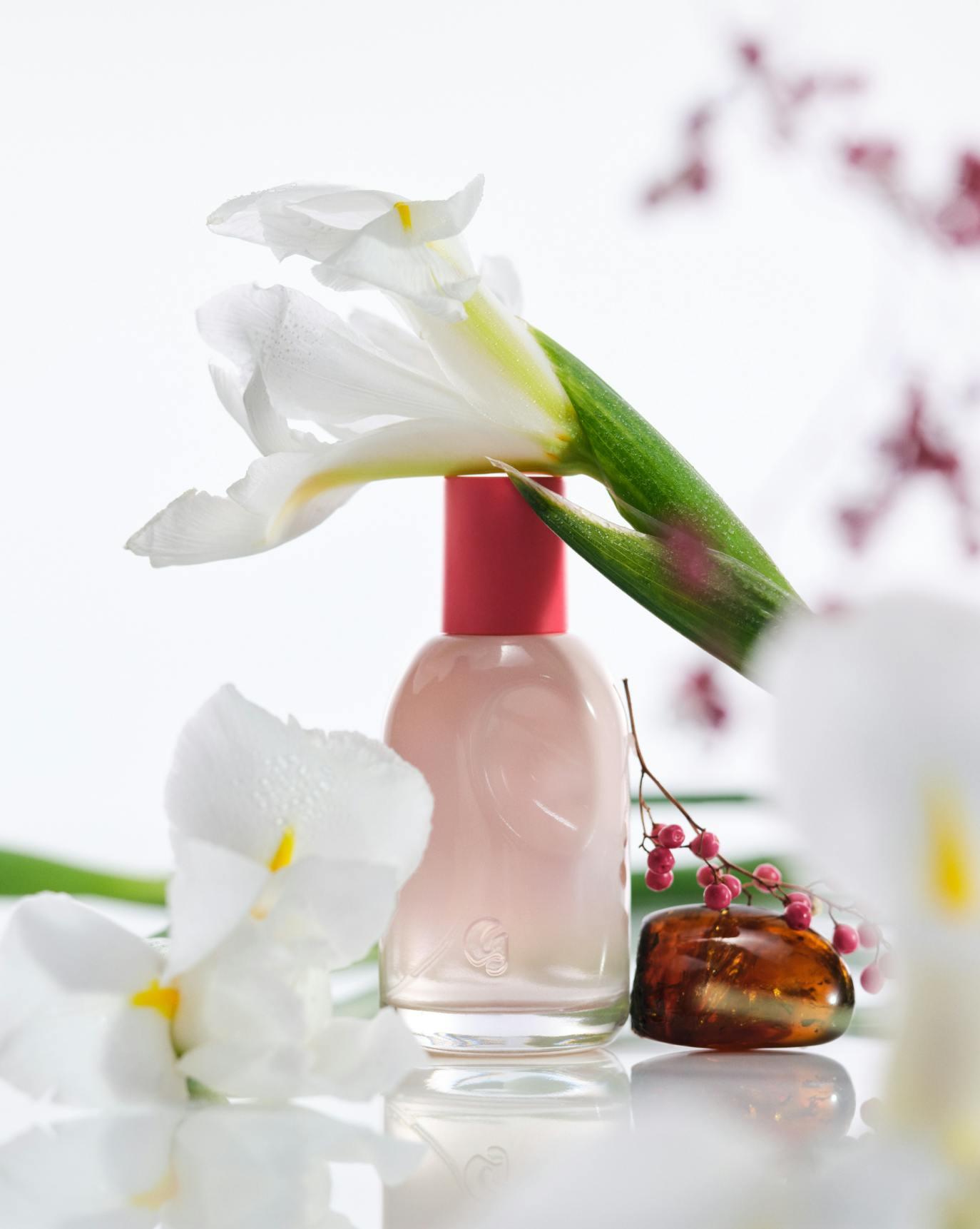 Fragrance collection cover photo collage