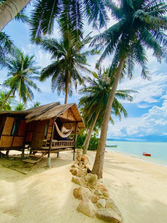 See the World for Less: Budget Travel Guide for Cat Moms cover photo collage