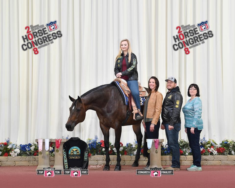 Horse Essentials🐴 cover photo collage