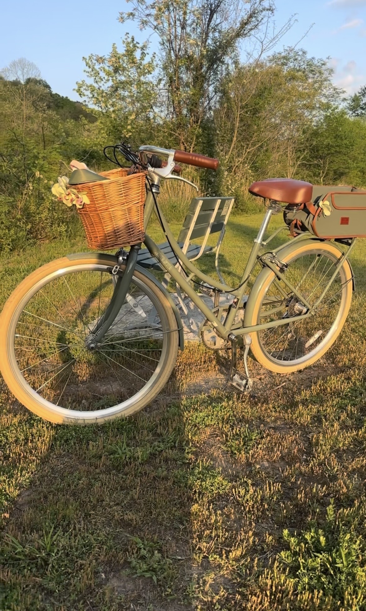 Rolling in Style - Biking Essentials 💚🍵 cover photo collage