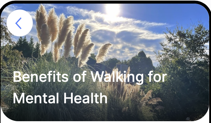 Health - Mental Health and Well-Being cover photo collage