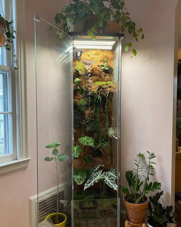 Indoor green house ideas cover photo collage