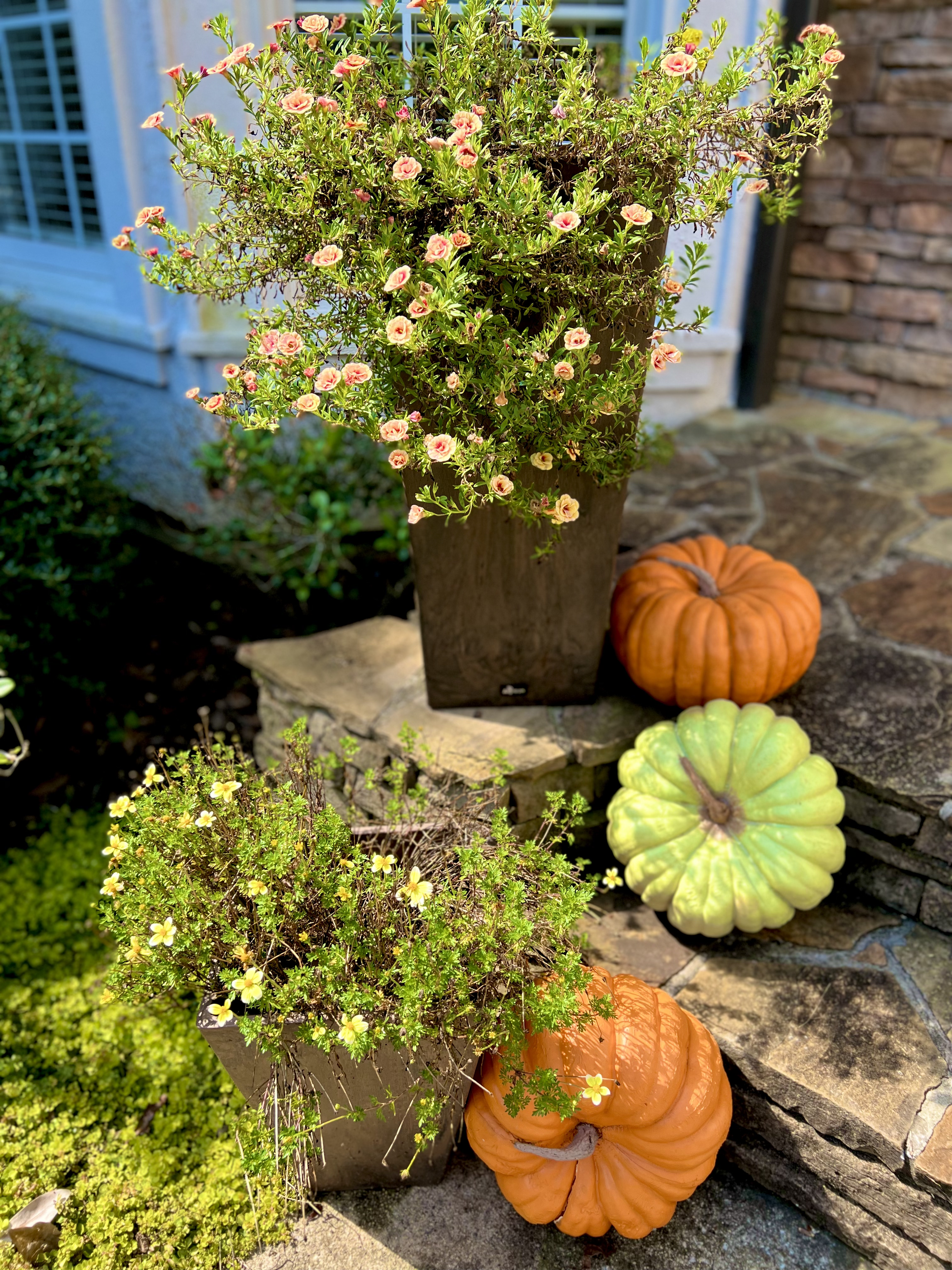 Fall's Finest: Unveiling the Ultimate Traditions, Décor, and Delights for a Season to Savor cover photo collage