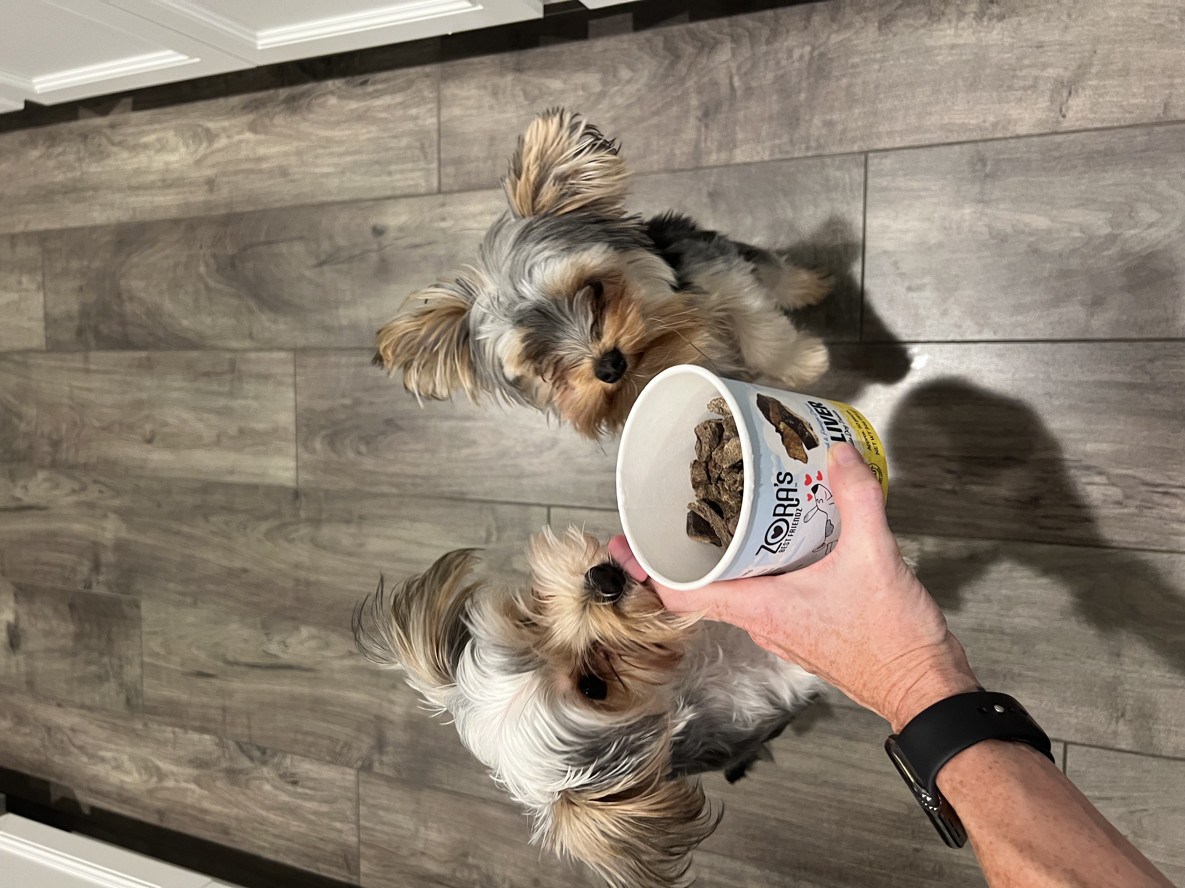 Dog/Pet Favorites you will find at my house cover photo collage