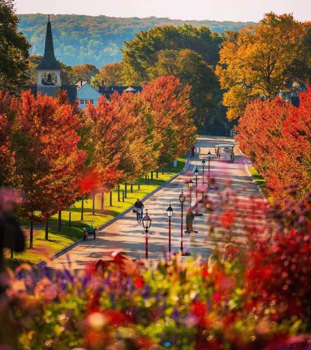 Fall into Michigan cover photo collage