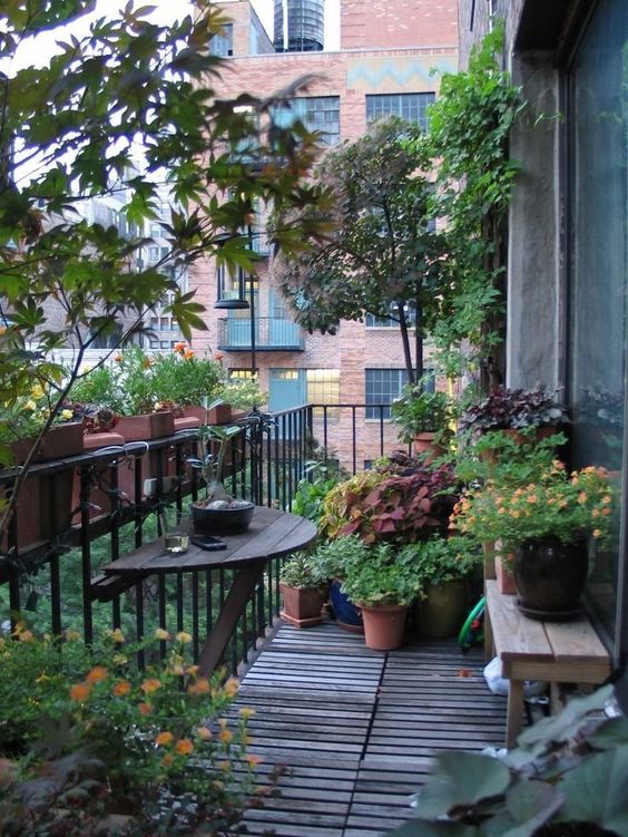 Apartment Gardening: Big Impact in Small Spaces cover photo collage