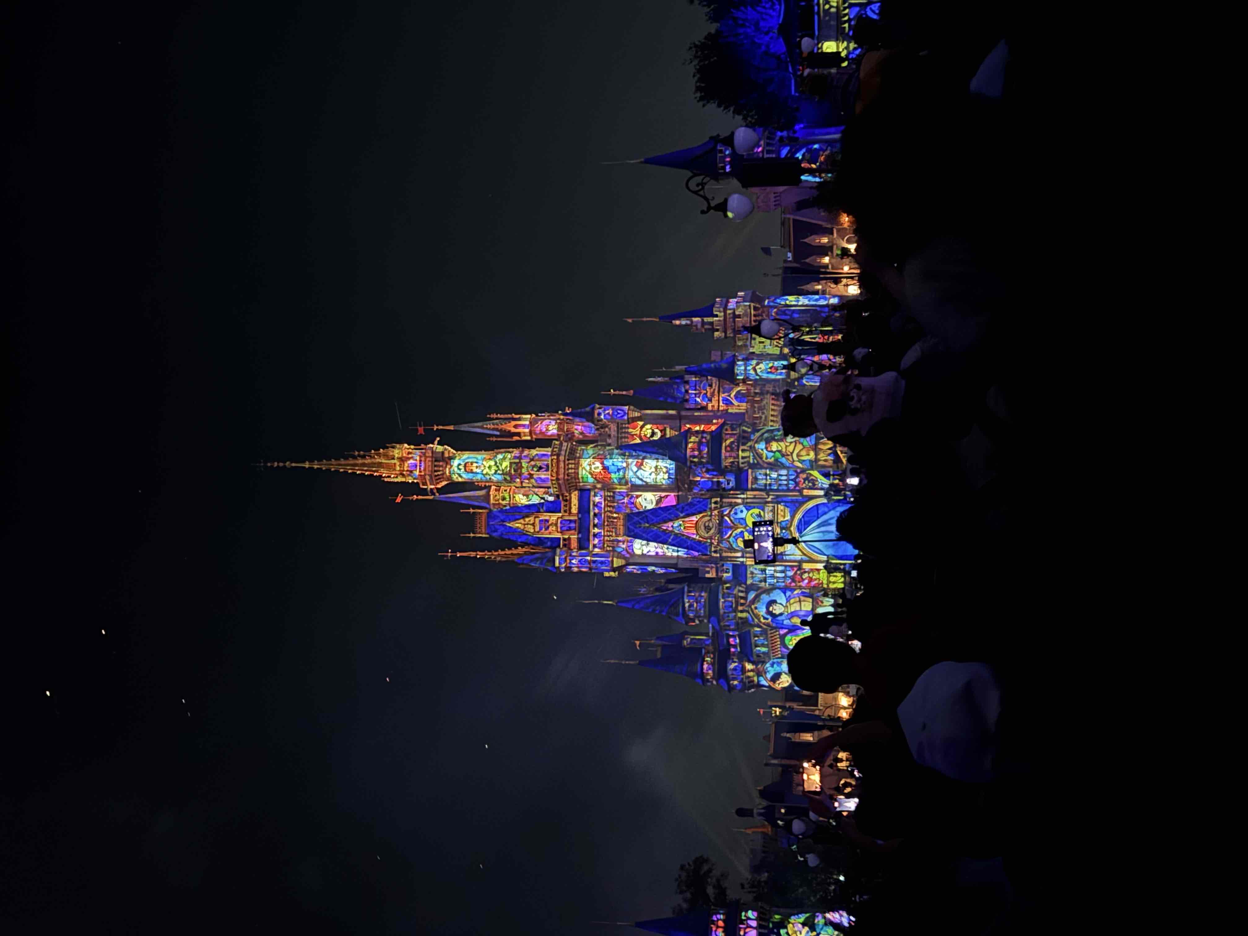 Disney World Guide cover photo collage