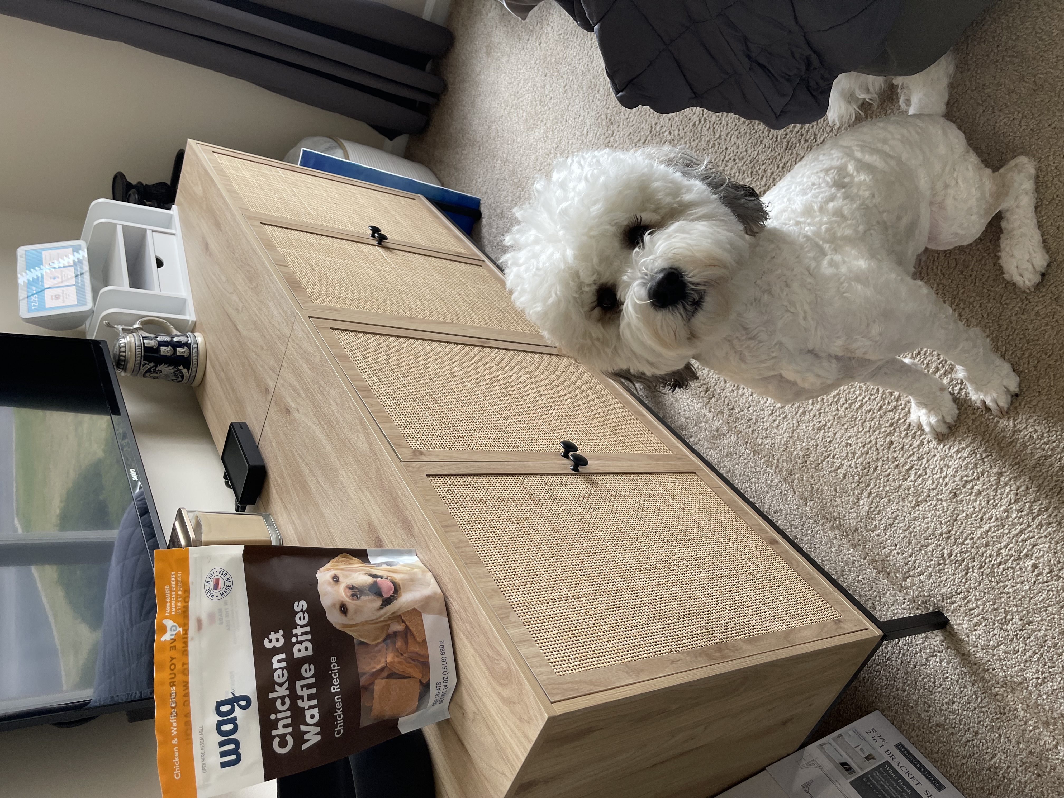 All dog things: from treats, toys, beds, and much more. cover photo collage