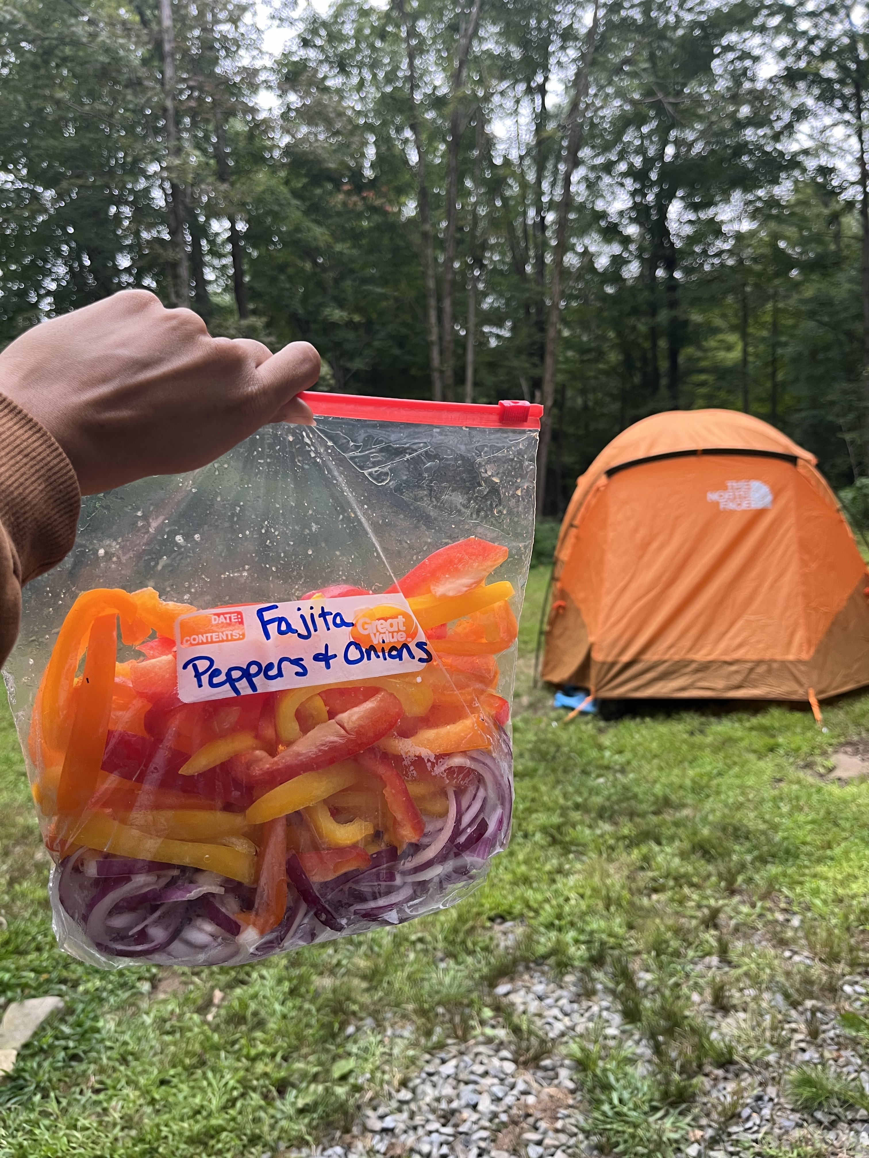 Vegan Camping Trip Essentials🏕 cover photo collage