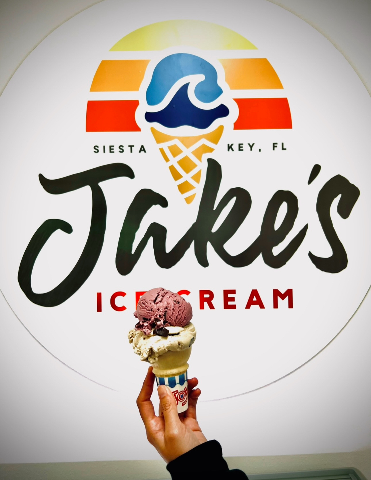 Sarasota Surroundings cover photo collage