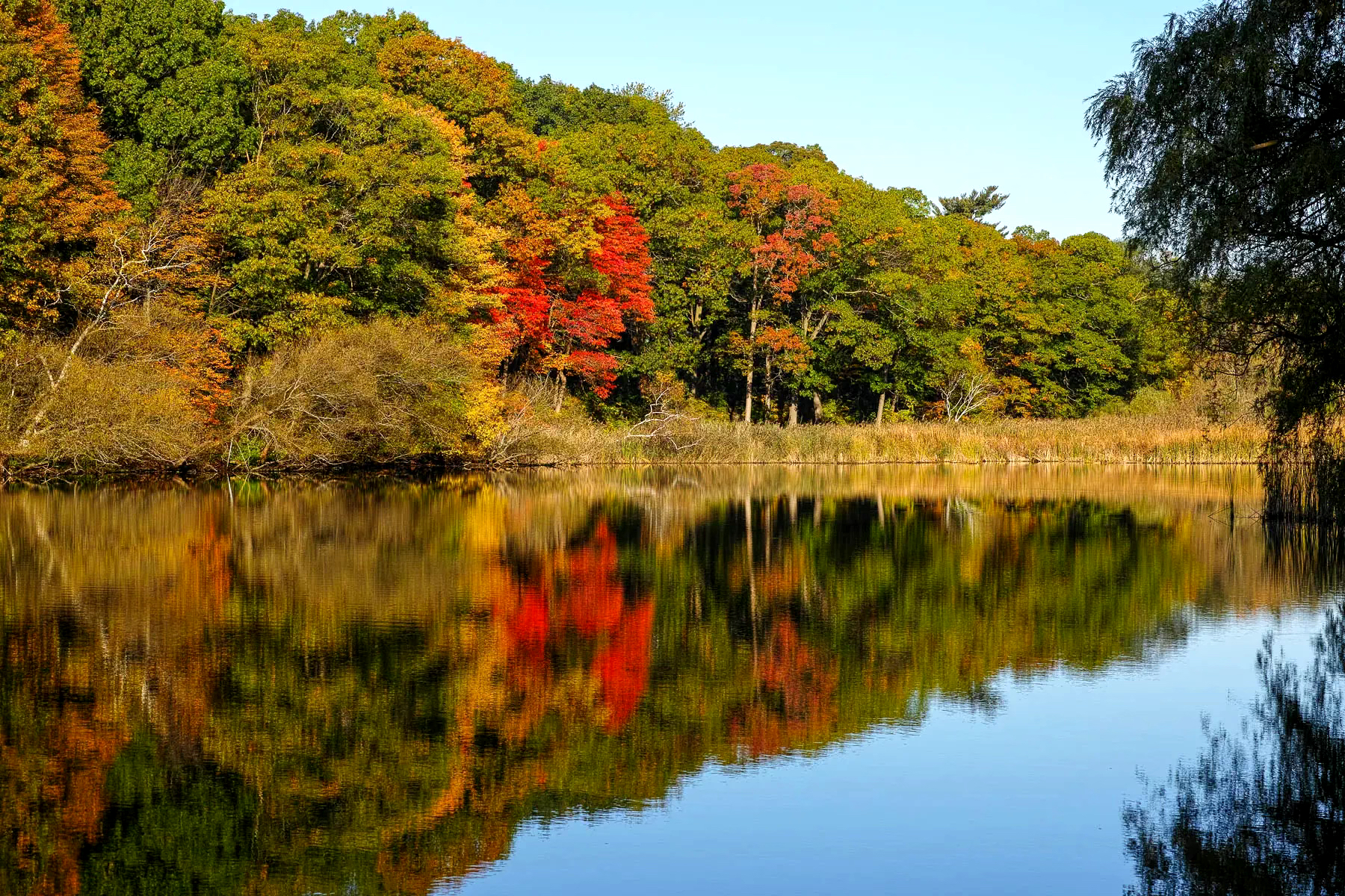 A fall day in Toronto 🍂 cover photo collage