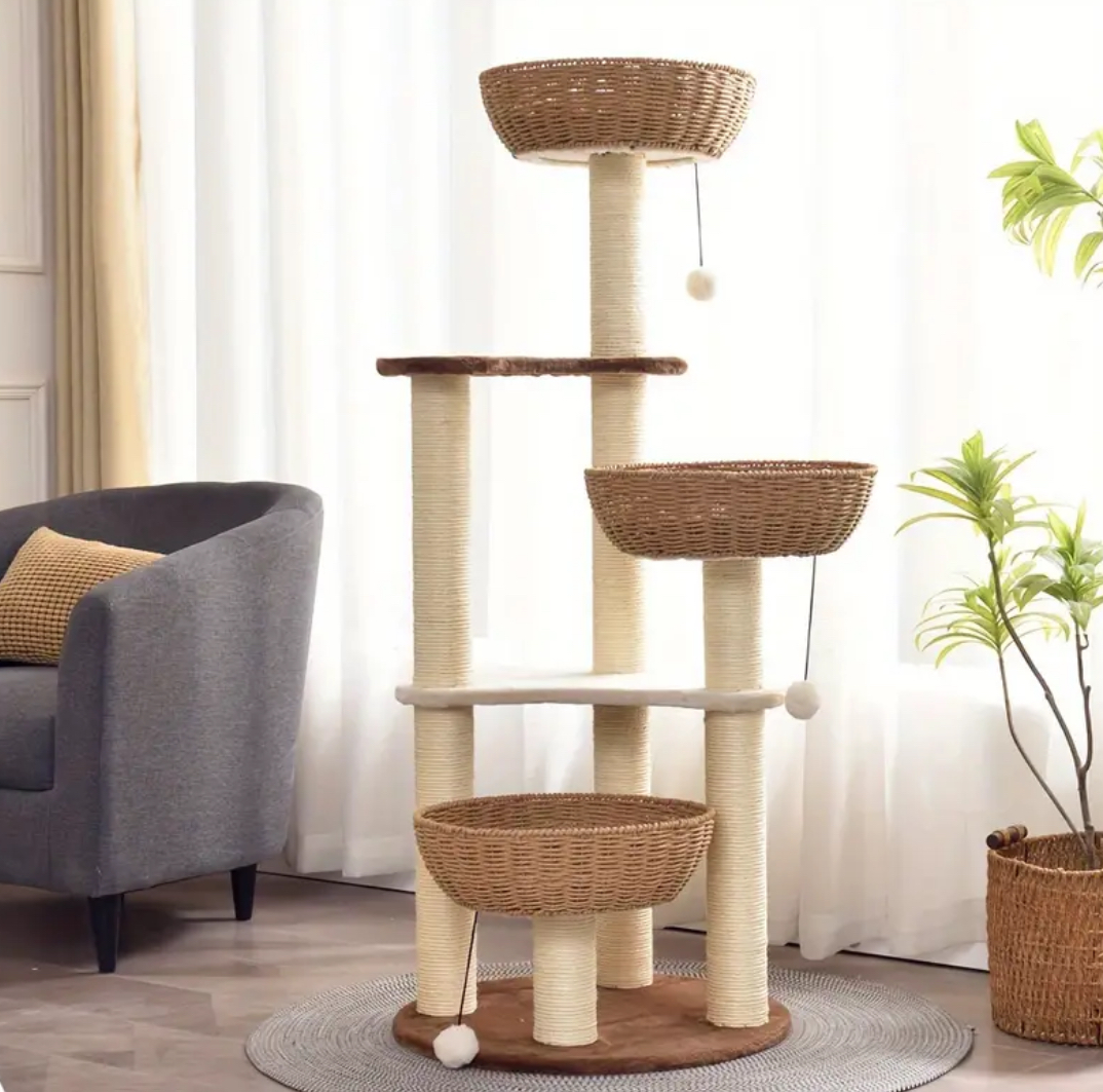 Thinking of getting a cat? Welcome Guide and Starter Kit cover photo collage