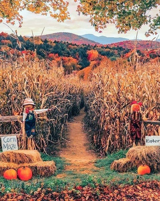 🍂 Ultimate Fall Fun Guide:  Cozy, Creative, and Colorful Activities to Embrace the Season 🍂 cover photo collage