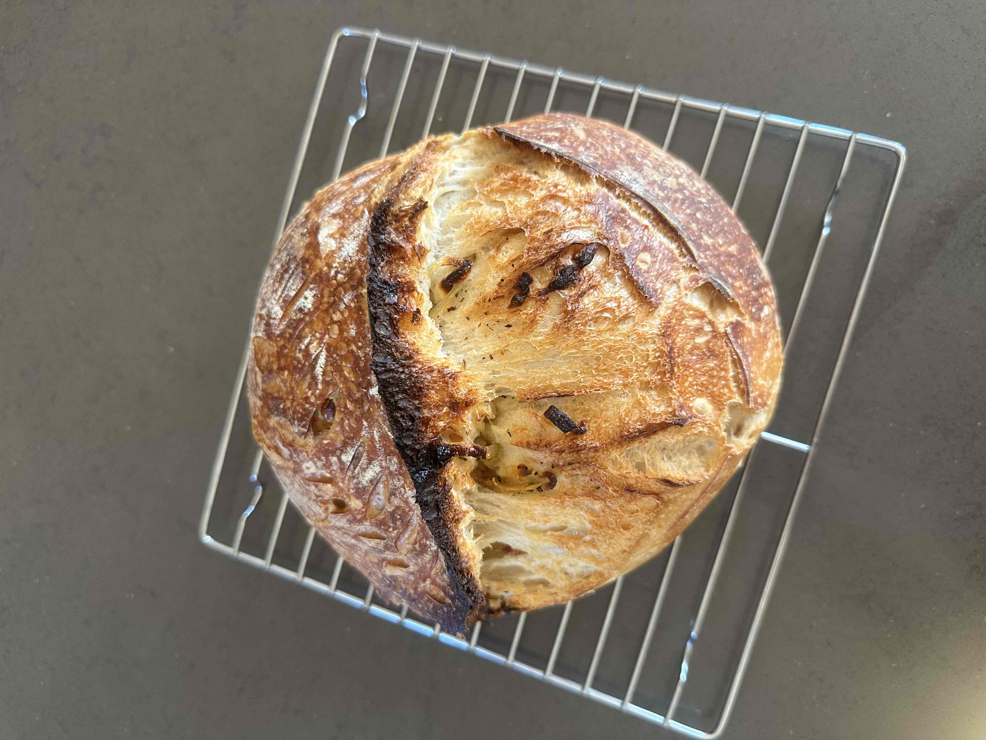 sourdough necessities! cover photo collage