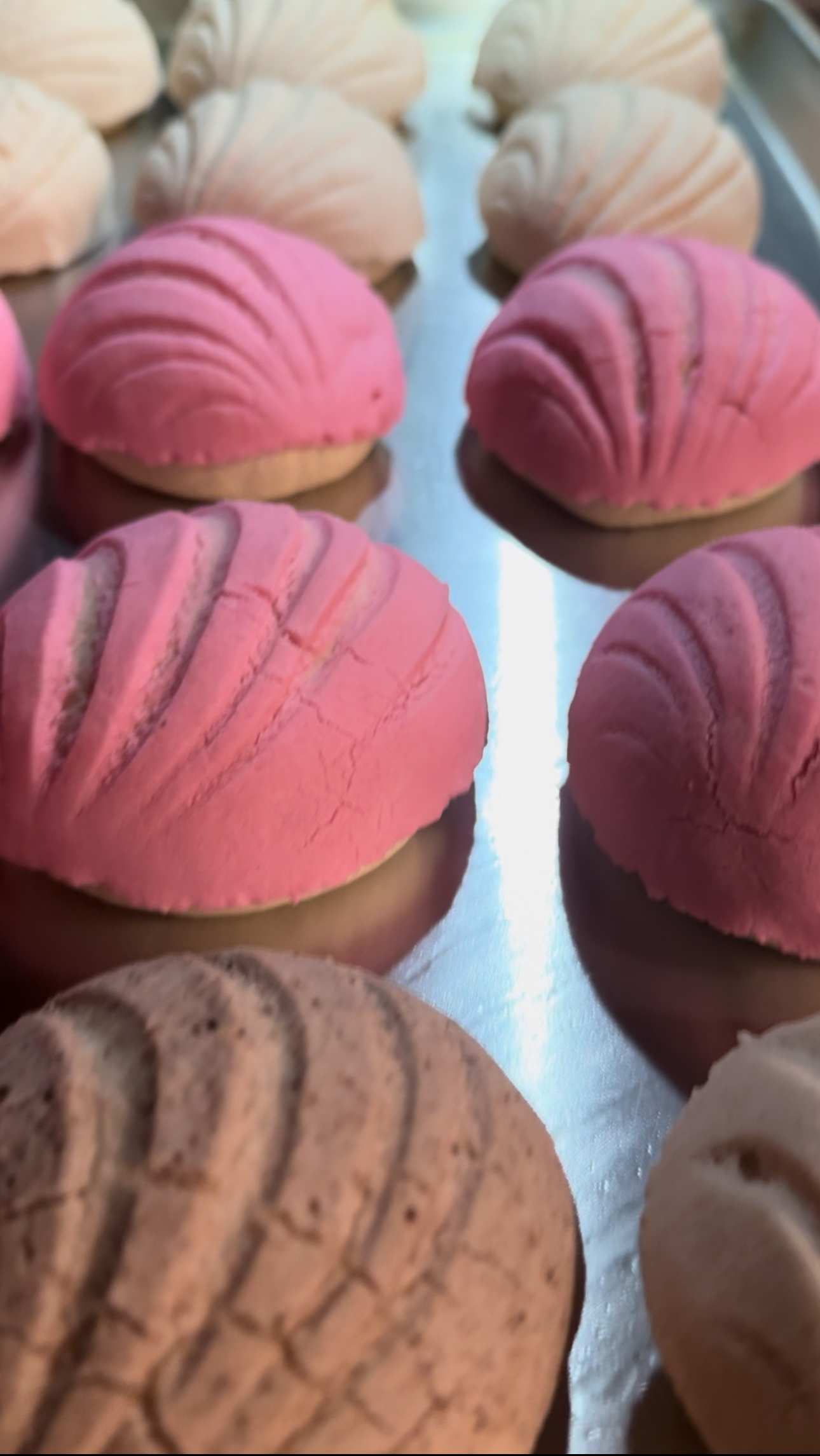 Everything and Anything Baking from Scratch cover photo collage