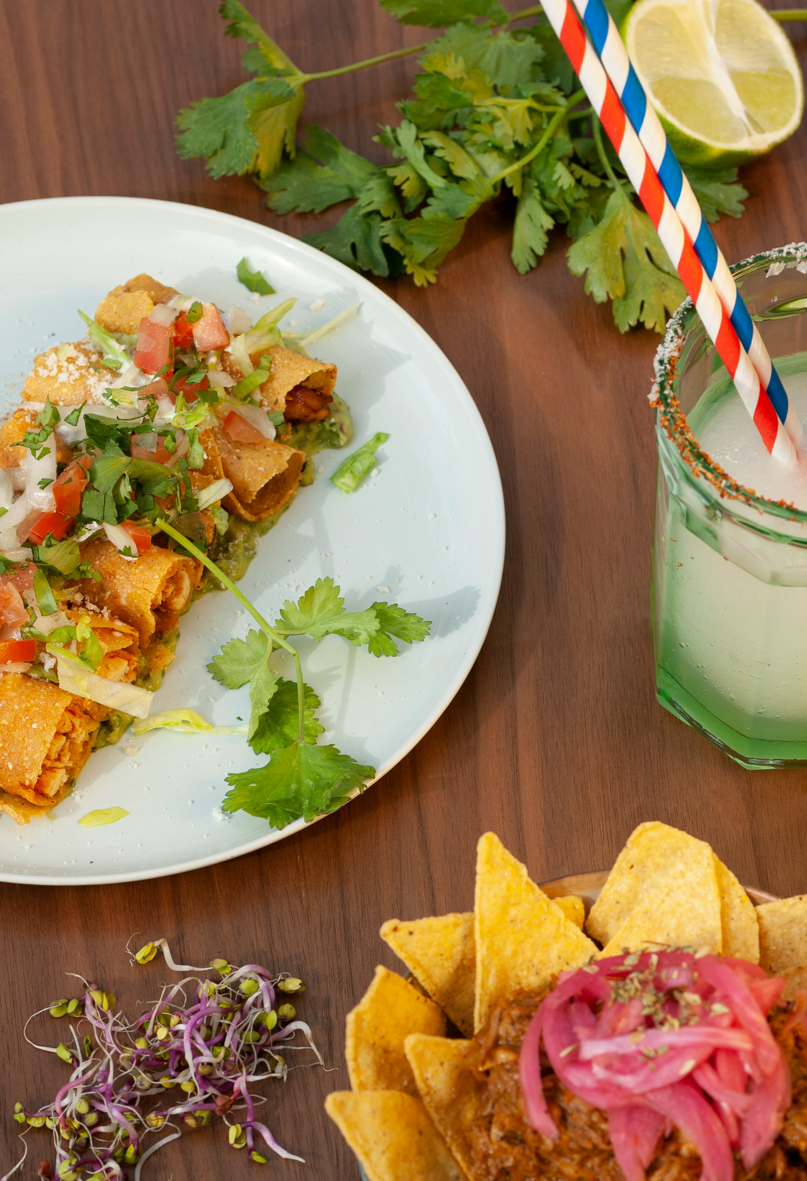 San Diego: Where to Eat, Play, and Stay cover photo collage