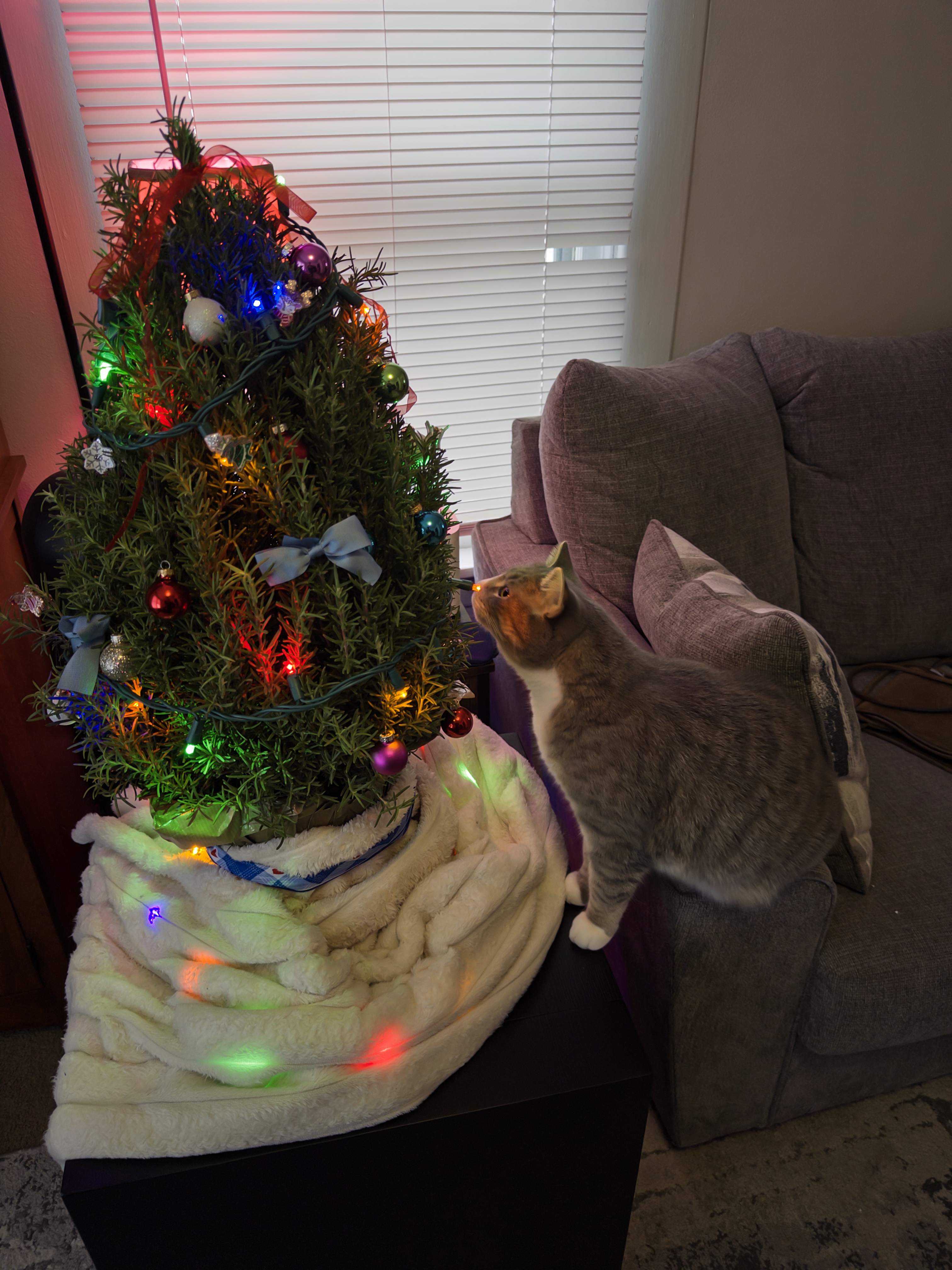 Christmas Gifts For Everyone! cover photo collage