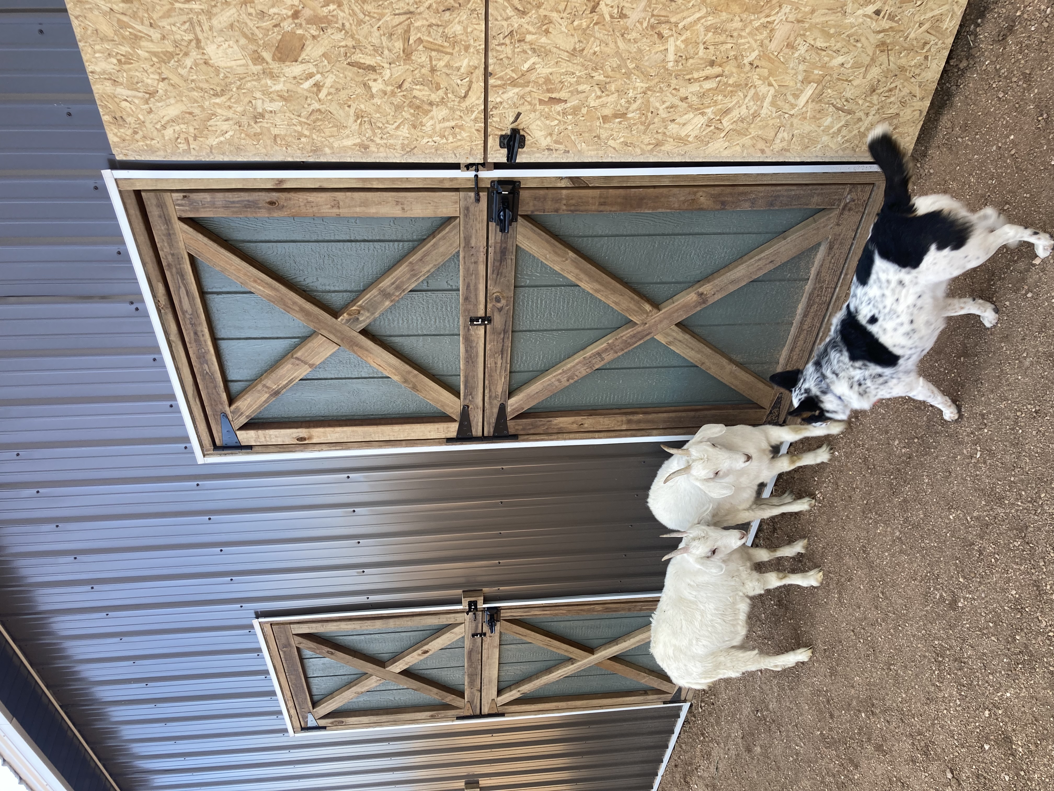 Pole barn for livestock and workshop cover photo collage