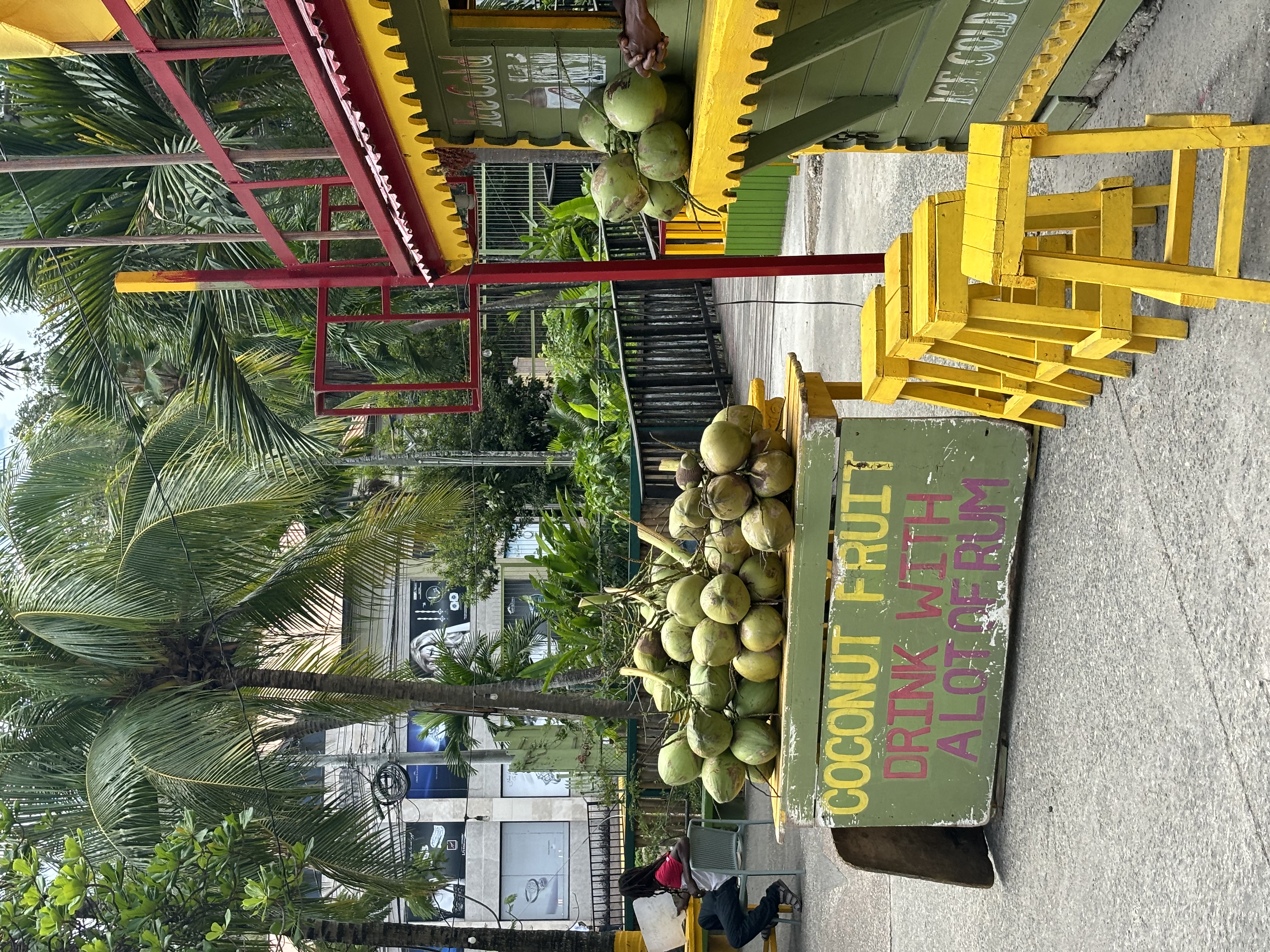 Your best time in Jamaica! (From a local) cover photo collage