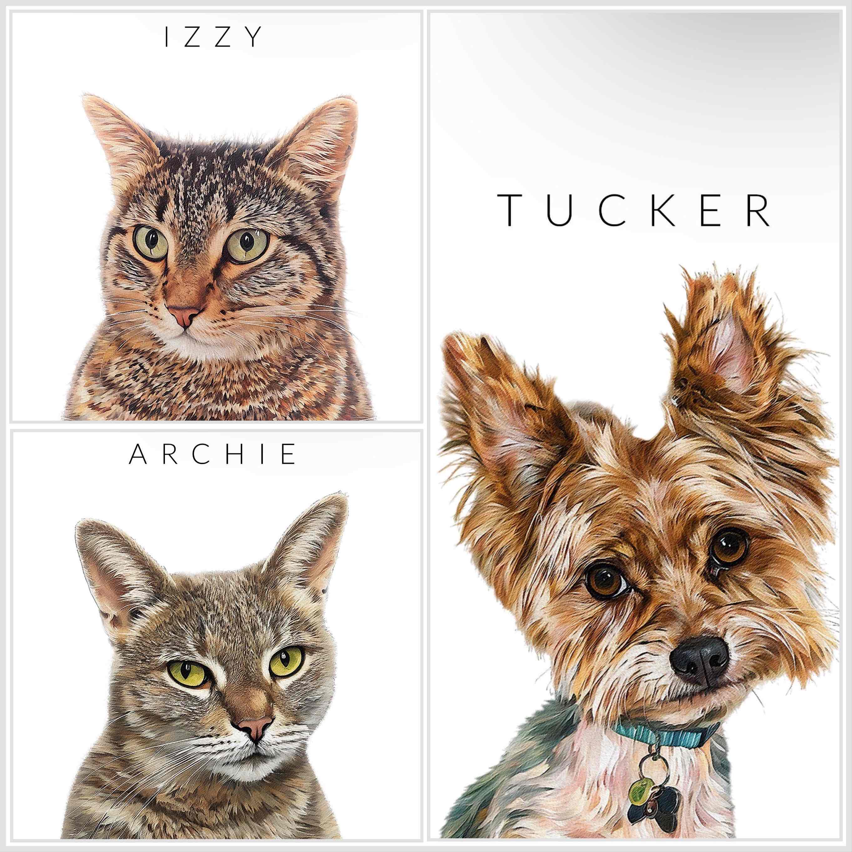 My Pets Favorite Things! cover photo collage