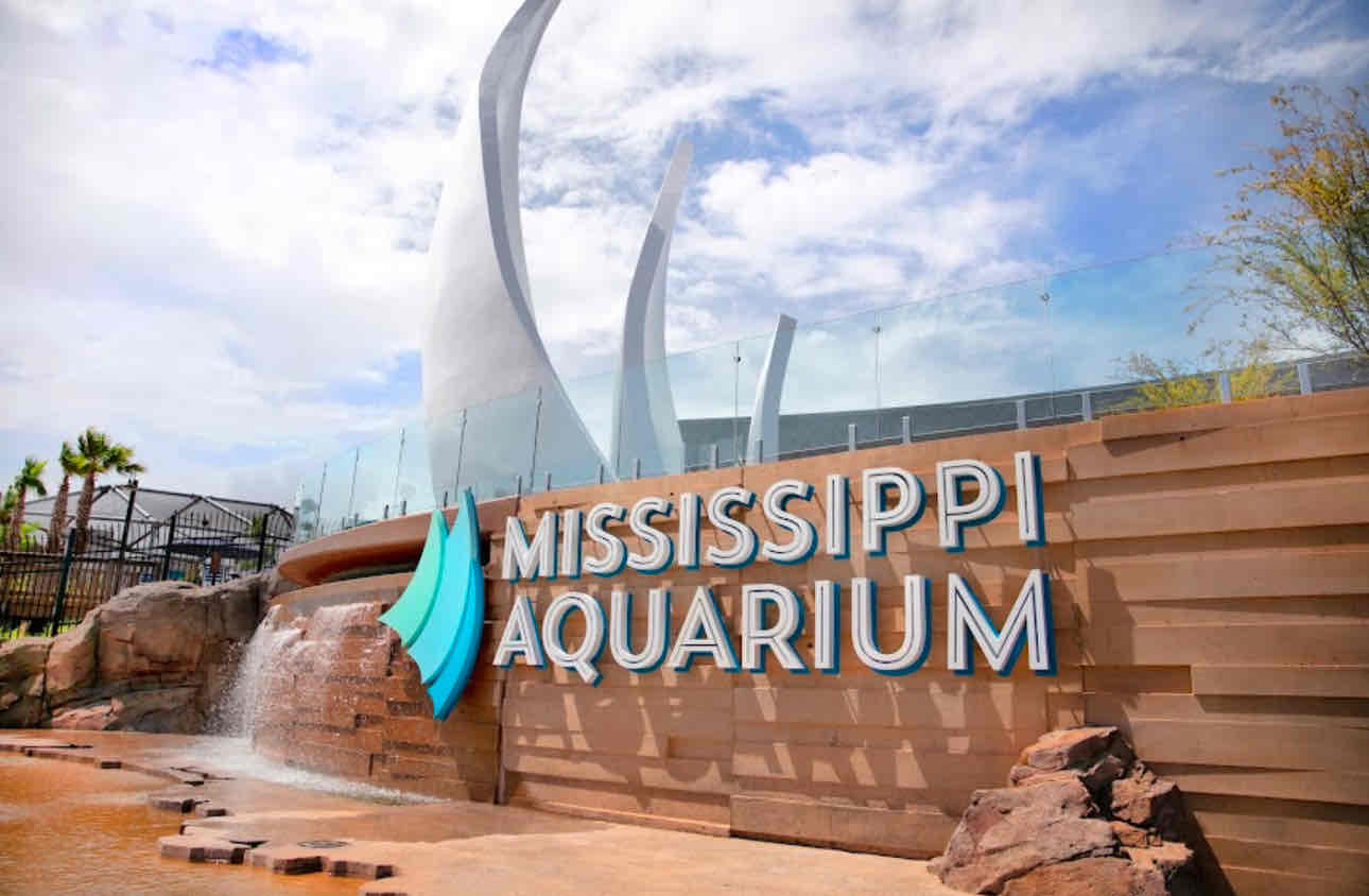 Family Fun in South MS cover photo collage