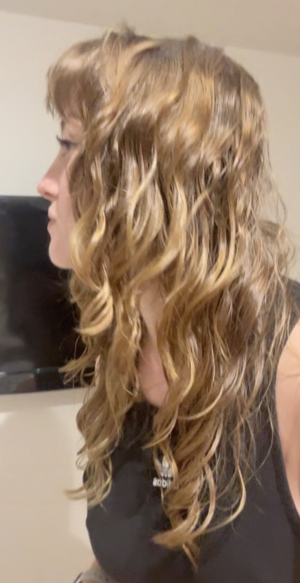 Tried and Tested Fine Wavy Hair Essentials cover photo collage