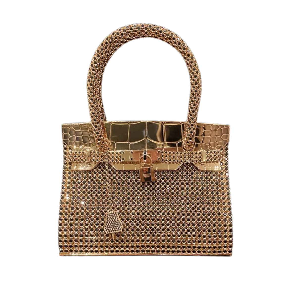 Ultra-Rare Bijou Sac Birkin