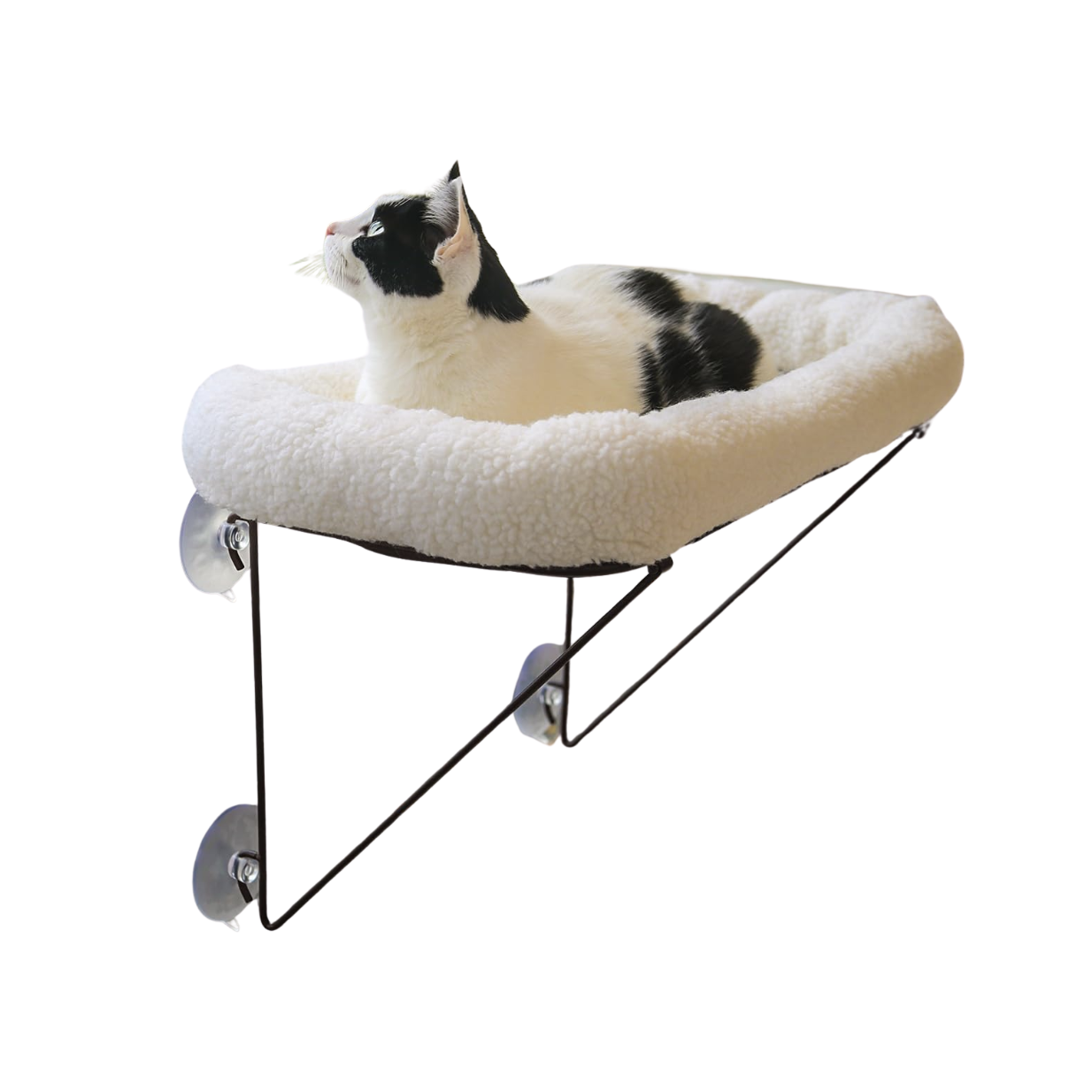 Cat window perch
