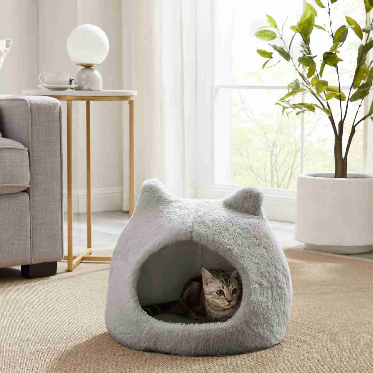 Cat Products cover photo collage