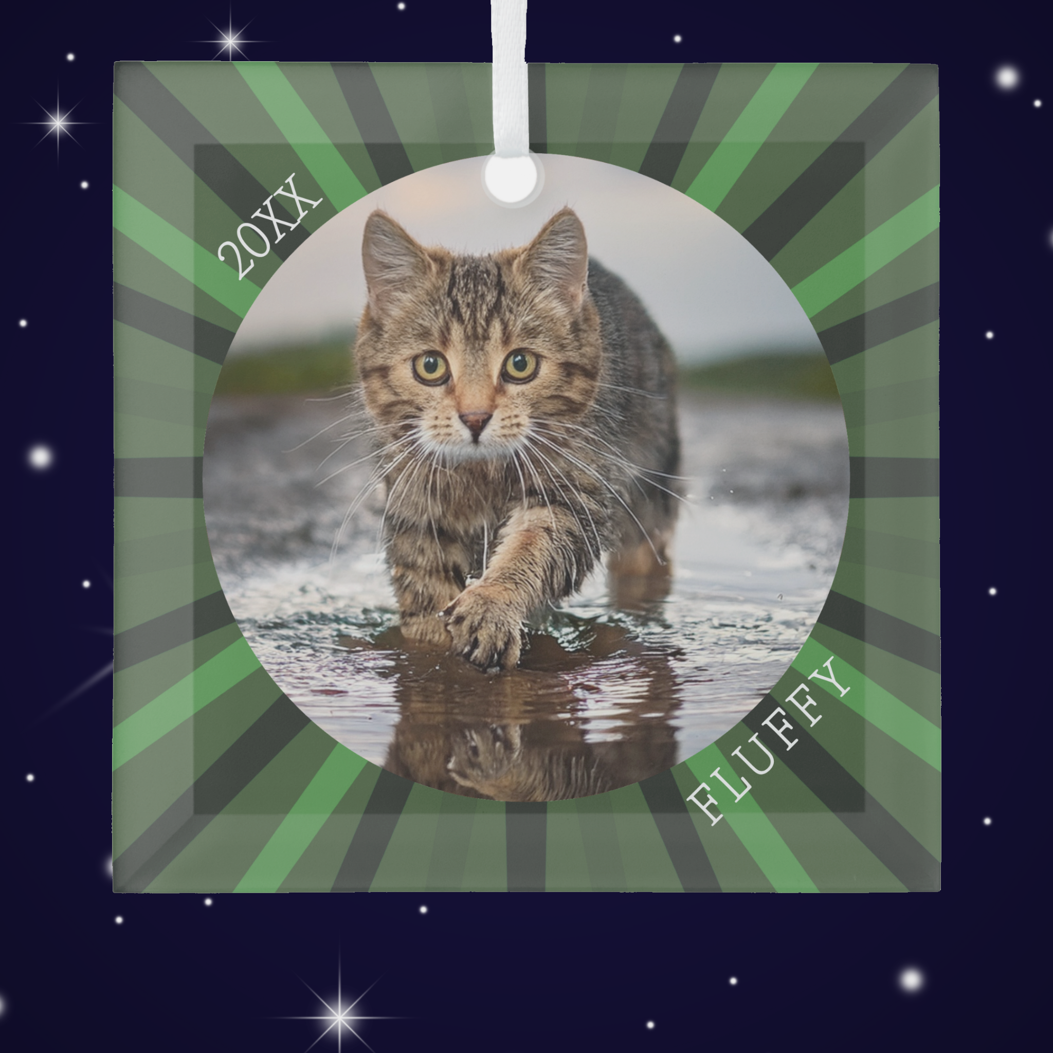 Cats for Christmas cover photo collage