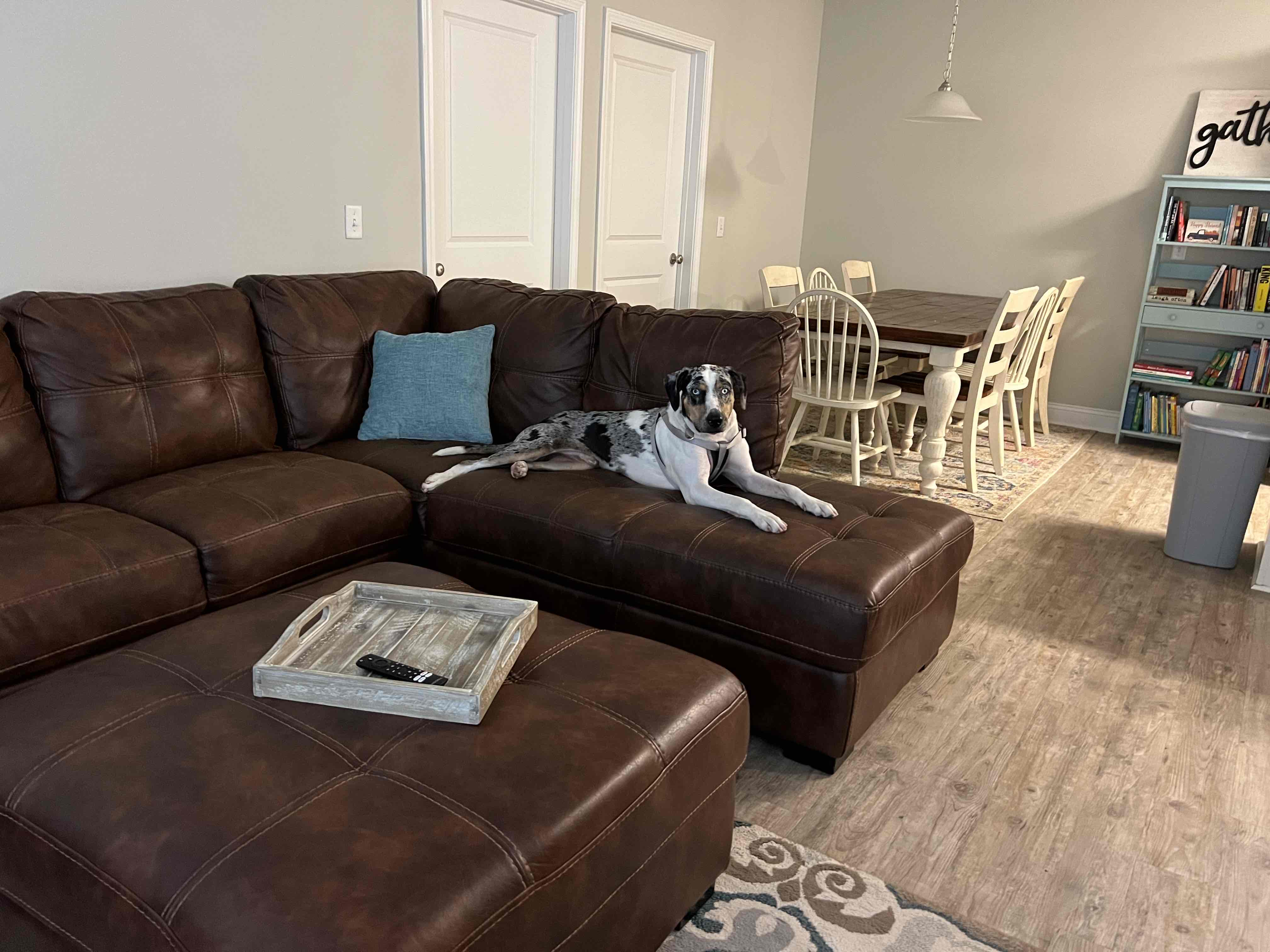 Apartment Living Room cover photo collage