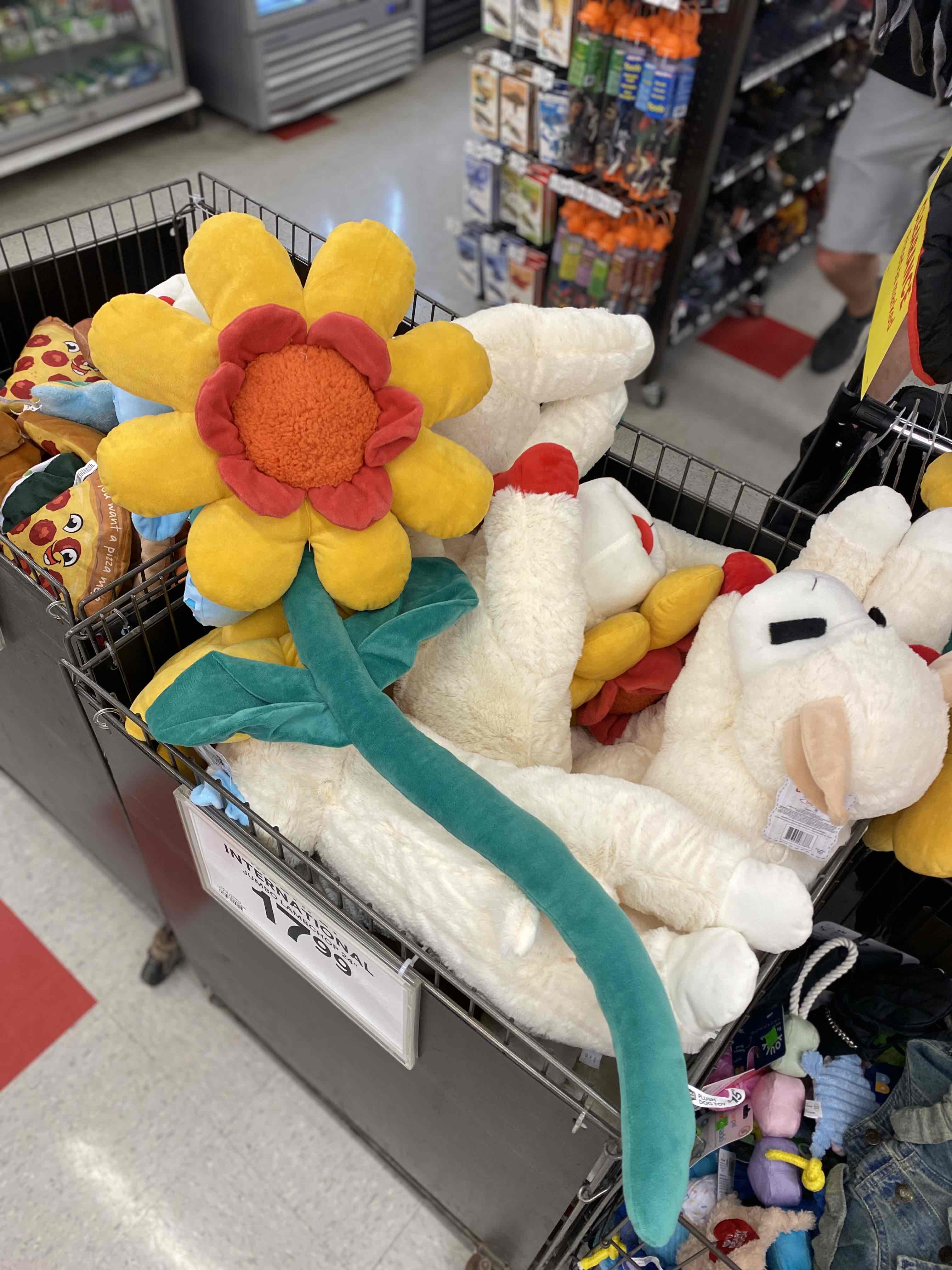 Essentials your sweet pup needs! cover photo collage